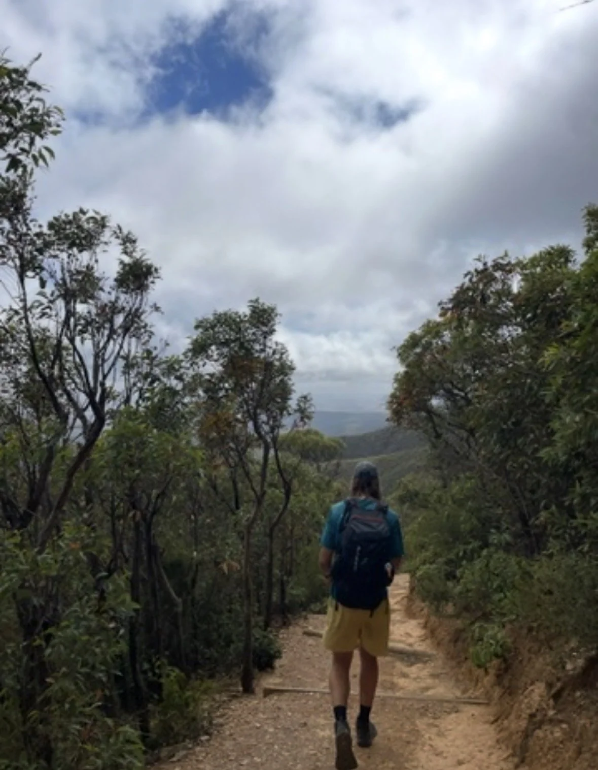 A person with a backpack and hat hiking on a dirt trail surrounded by trees, with a cloudy sky overhead.