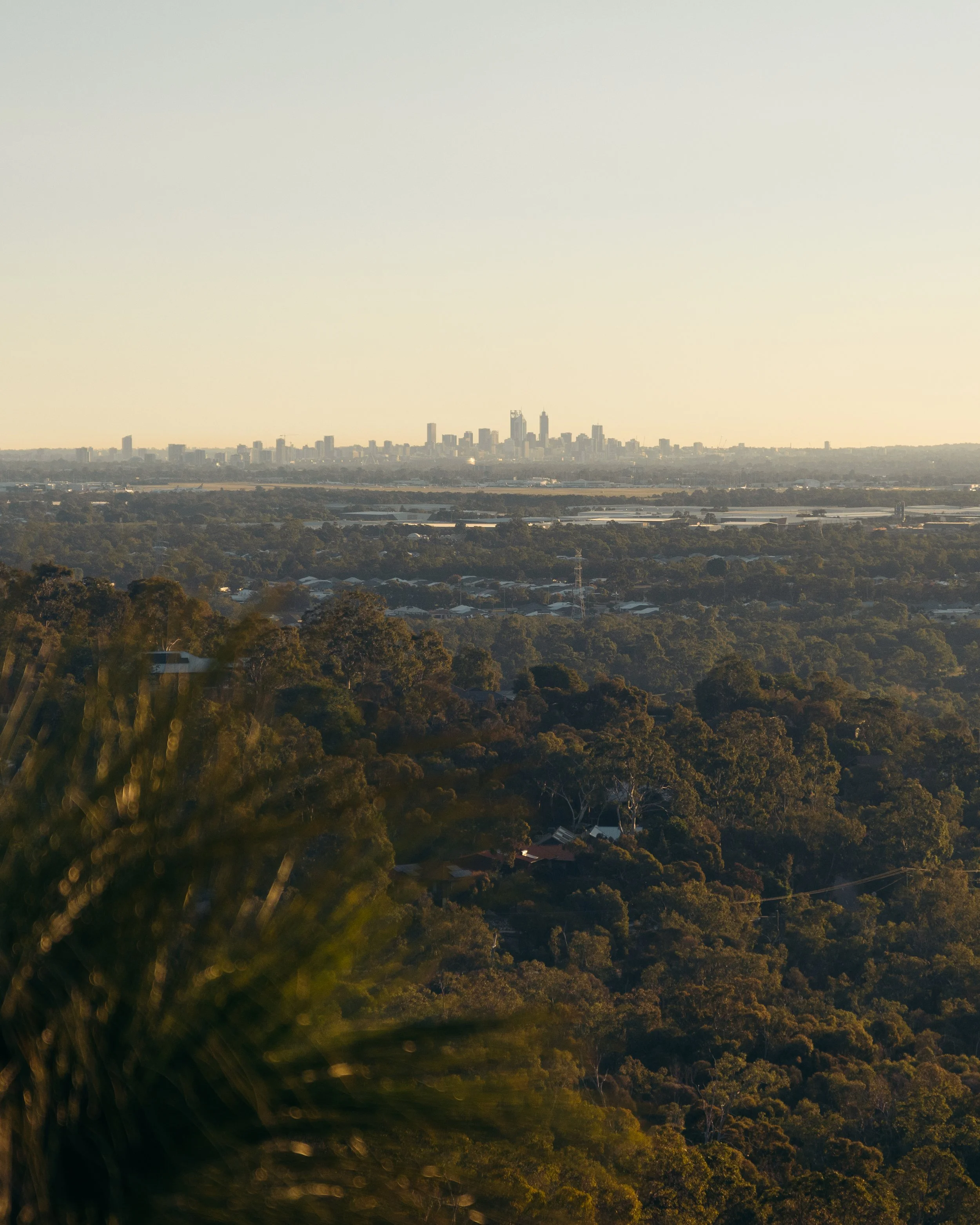 A city skyline seen across a wide expanse of green forest and rural land during the daytime, with tall skyscrapers in the distance under a clear, pale sky.