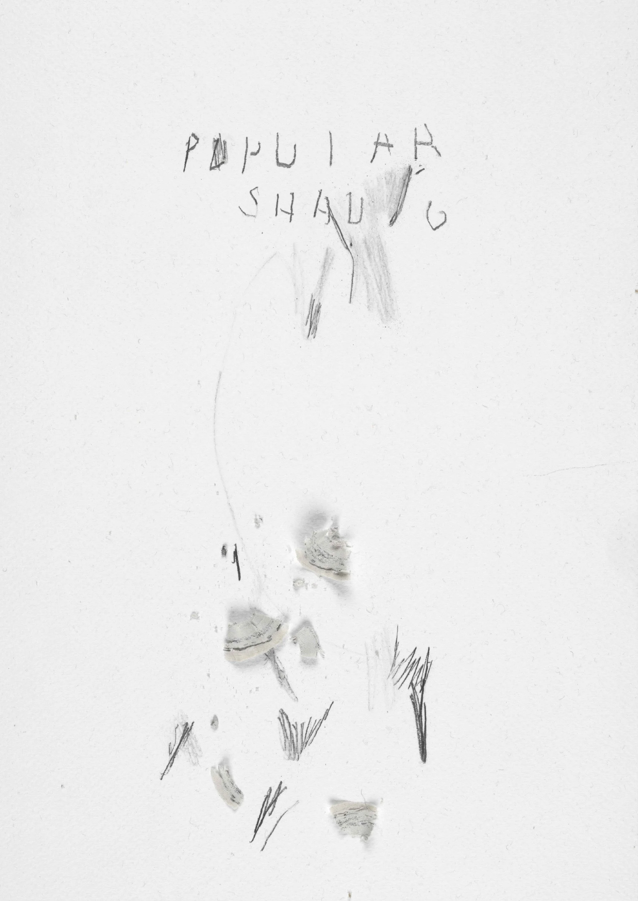 Popular-Shading-smaller_o.jpg