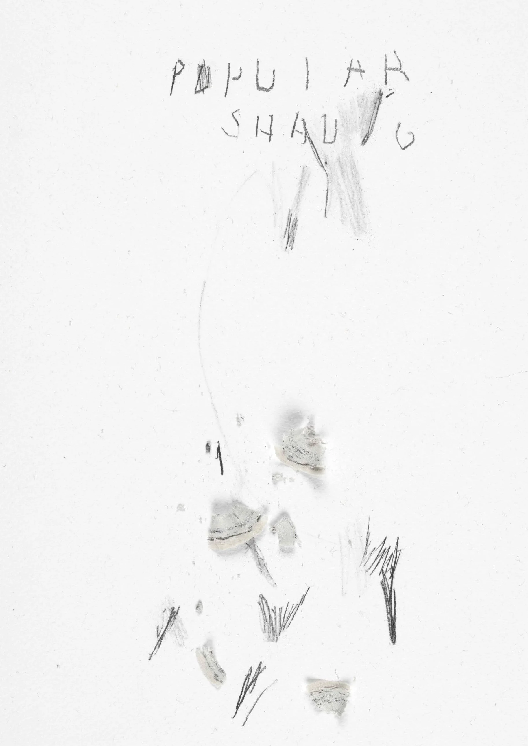 Drawing: Photographed by the State Library of Victoria