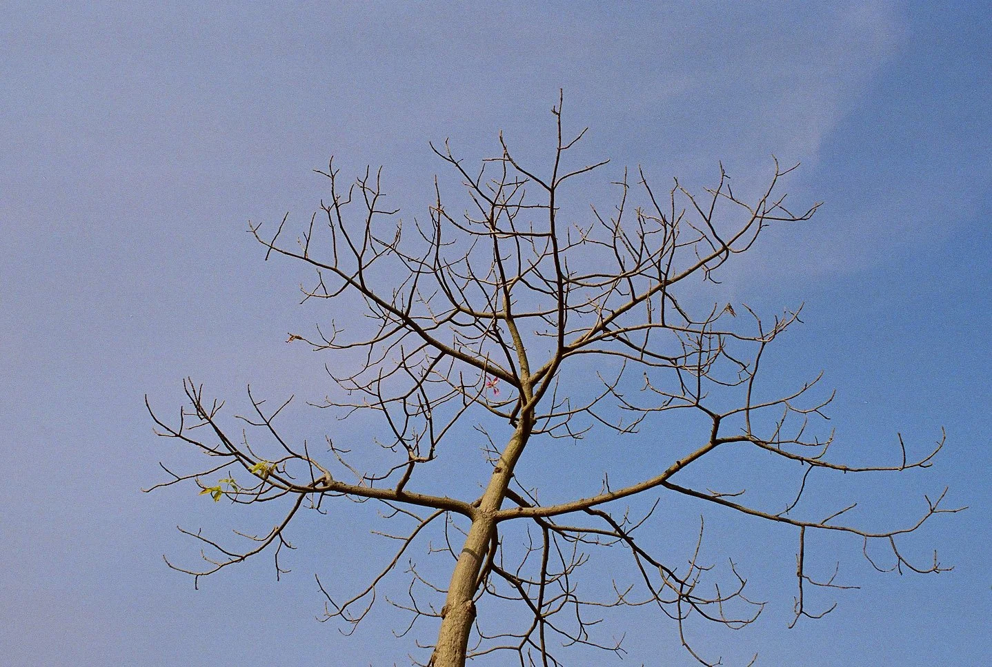 Sanskriti Kendra