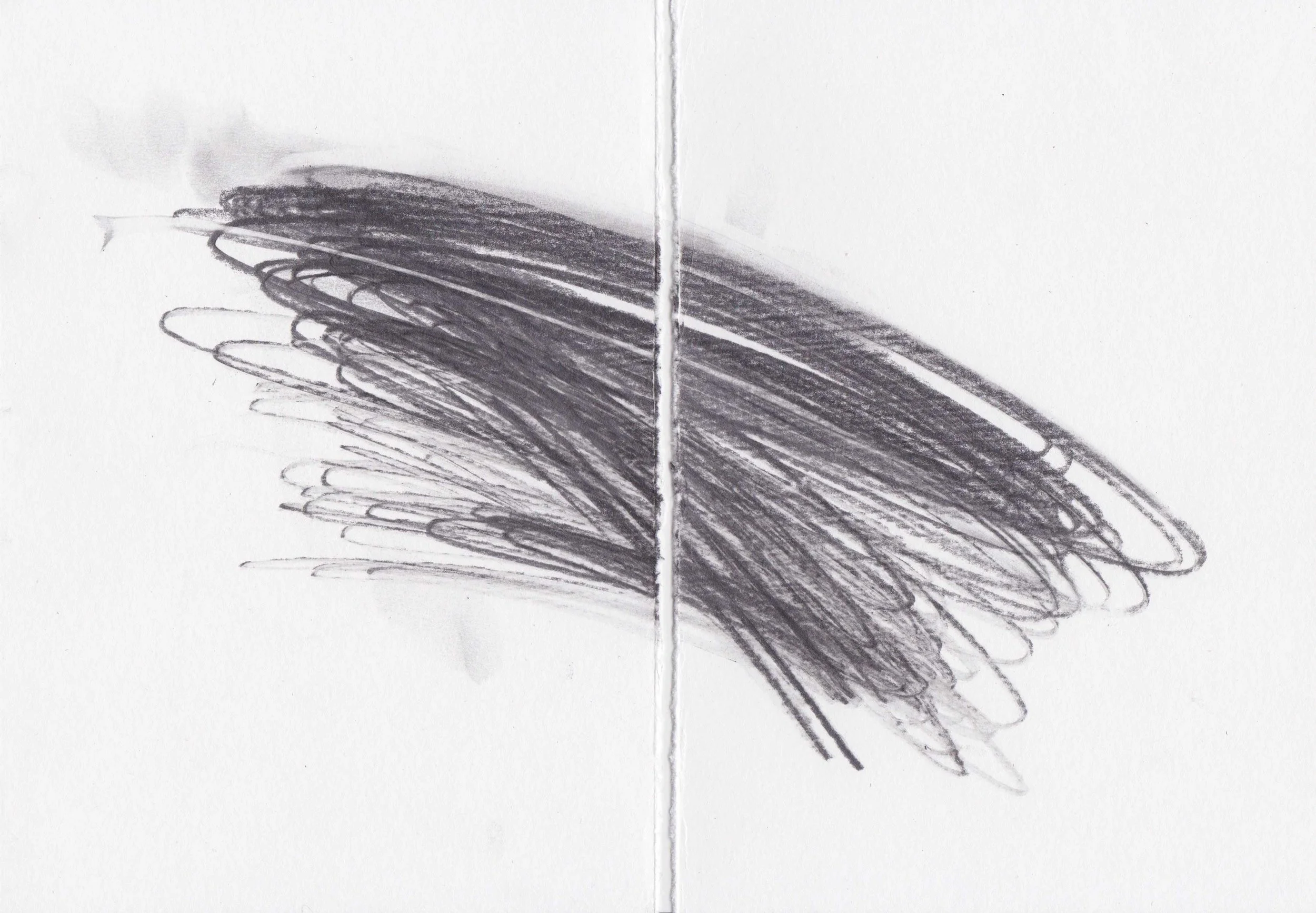 2015_varuna_pencil-two-zip-copy.jpg