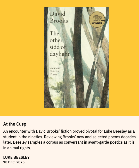 SRB: Review of David Brooks