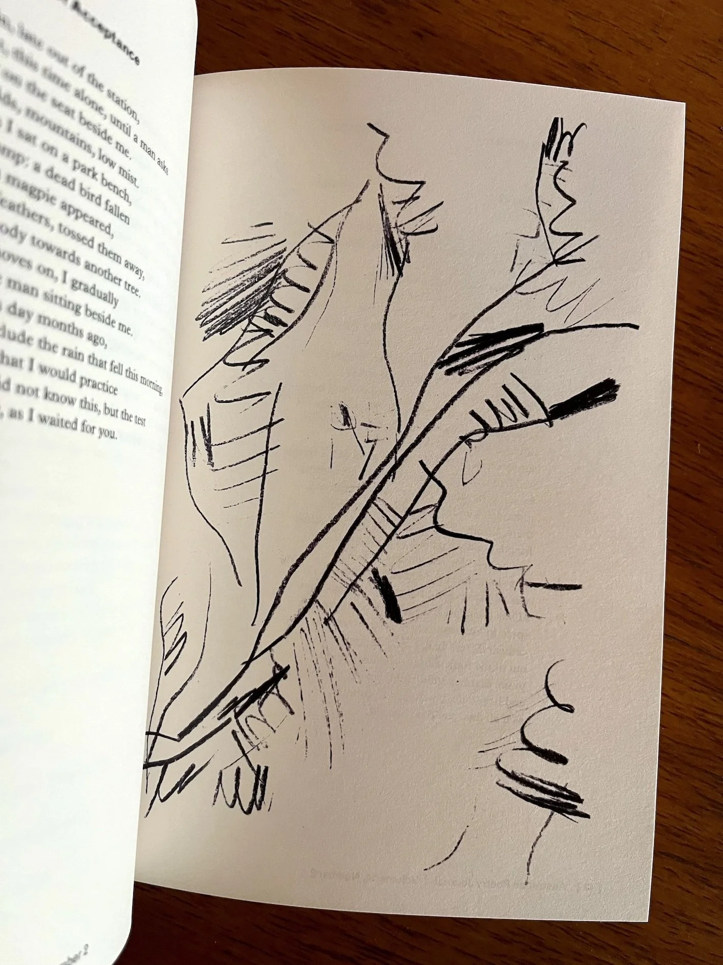 Read_1417.jpg