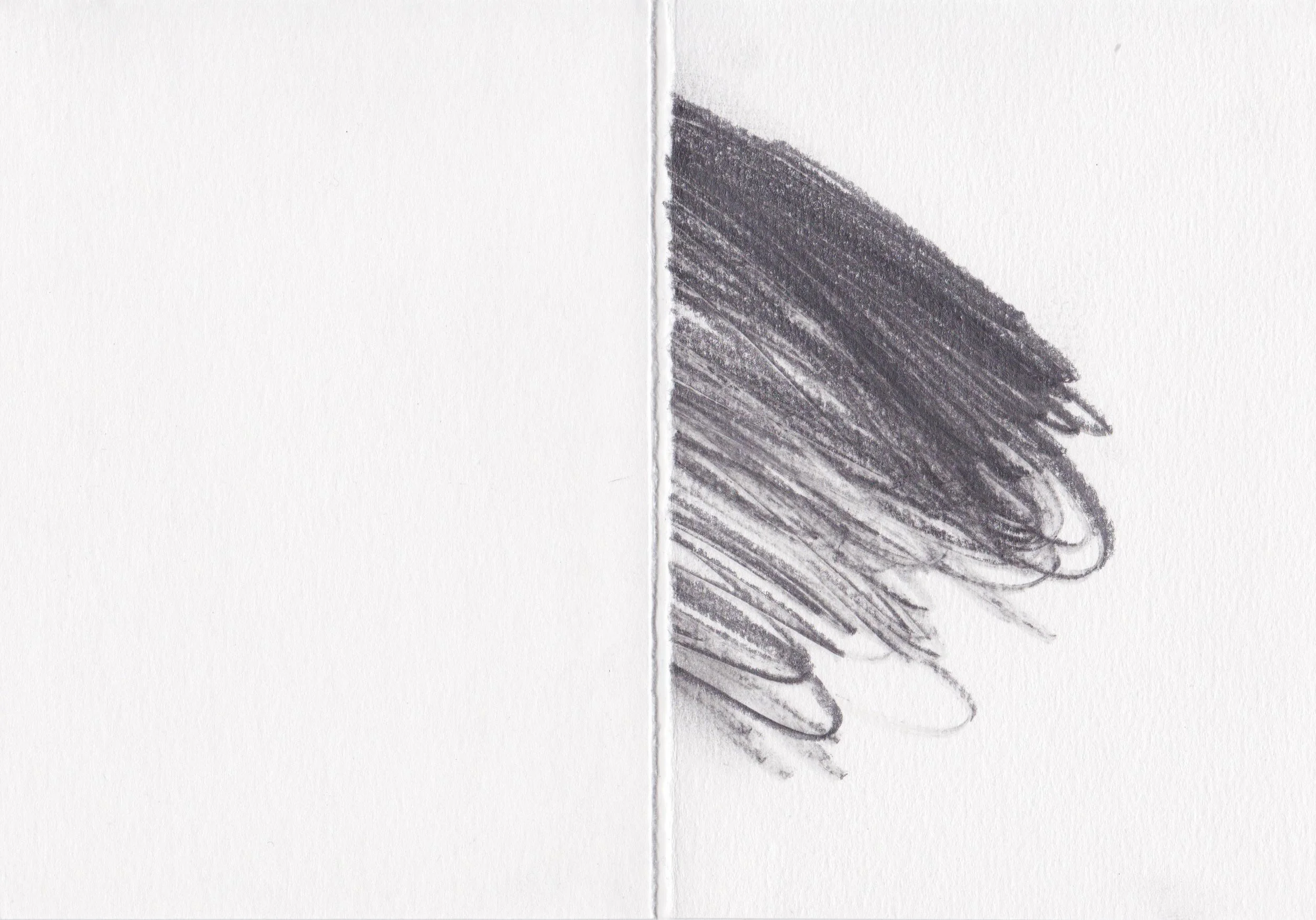 pencil_march16_2016w.jpg