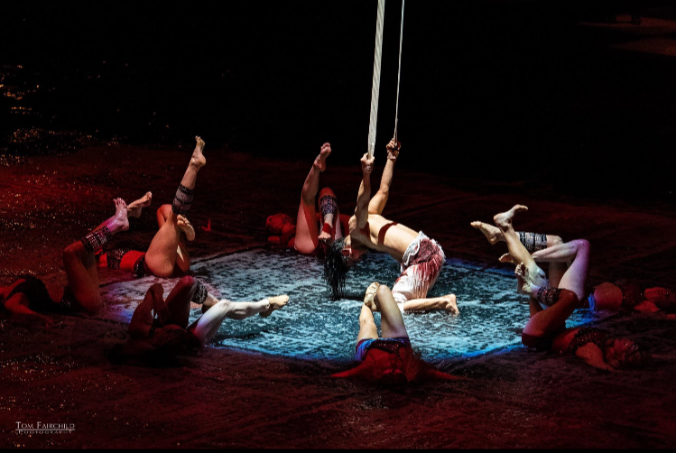 World's largest circus water show. The House of Dancing Water, Franco Dragone. 