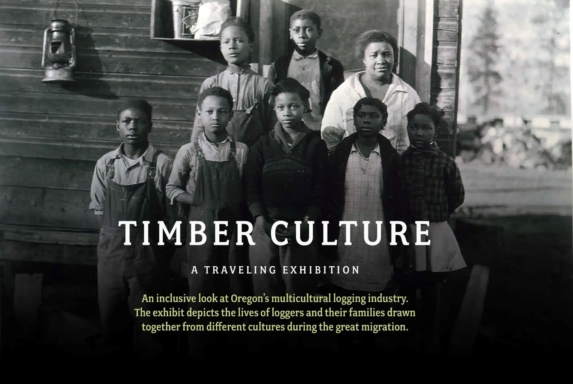 Timber Culture Exhibit