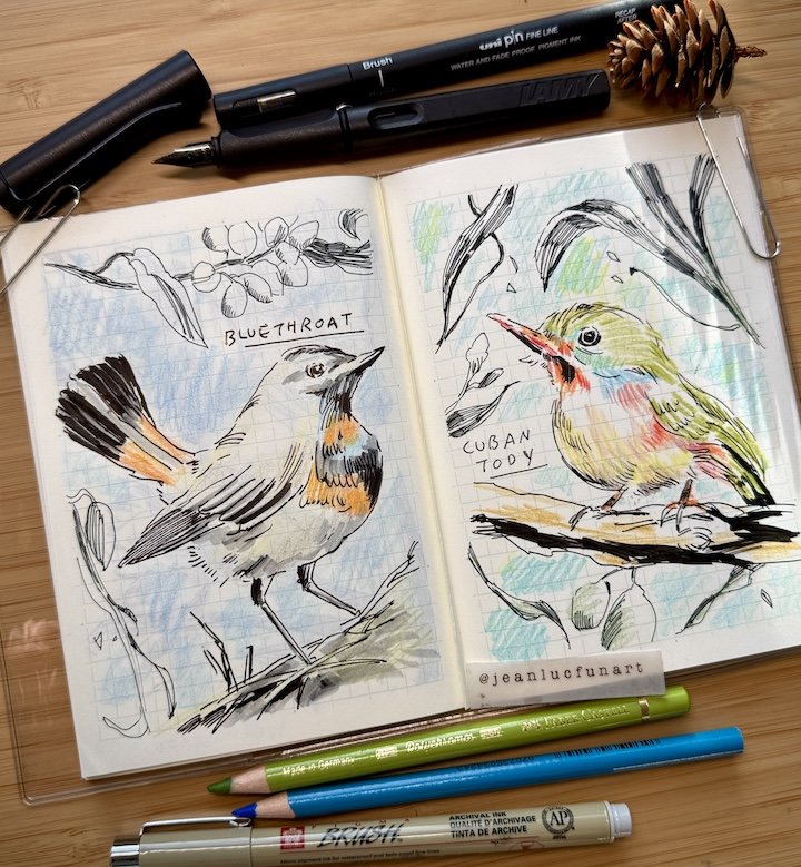 JL_fieldnotes_birdspread.jpg