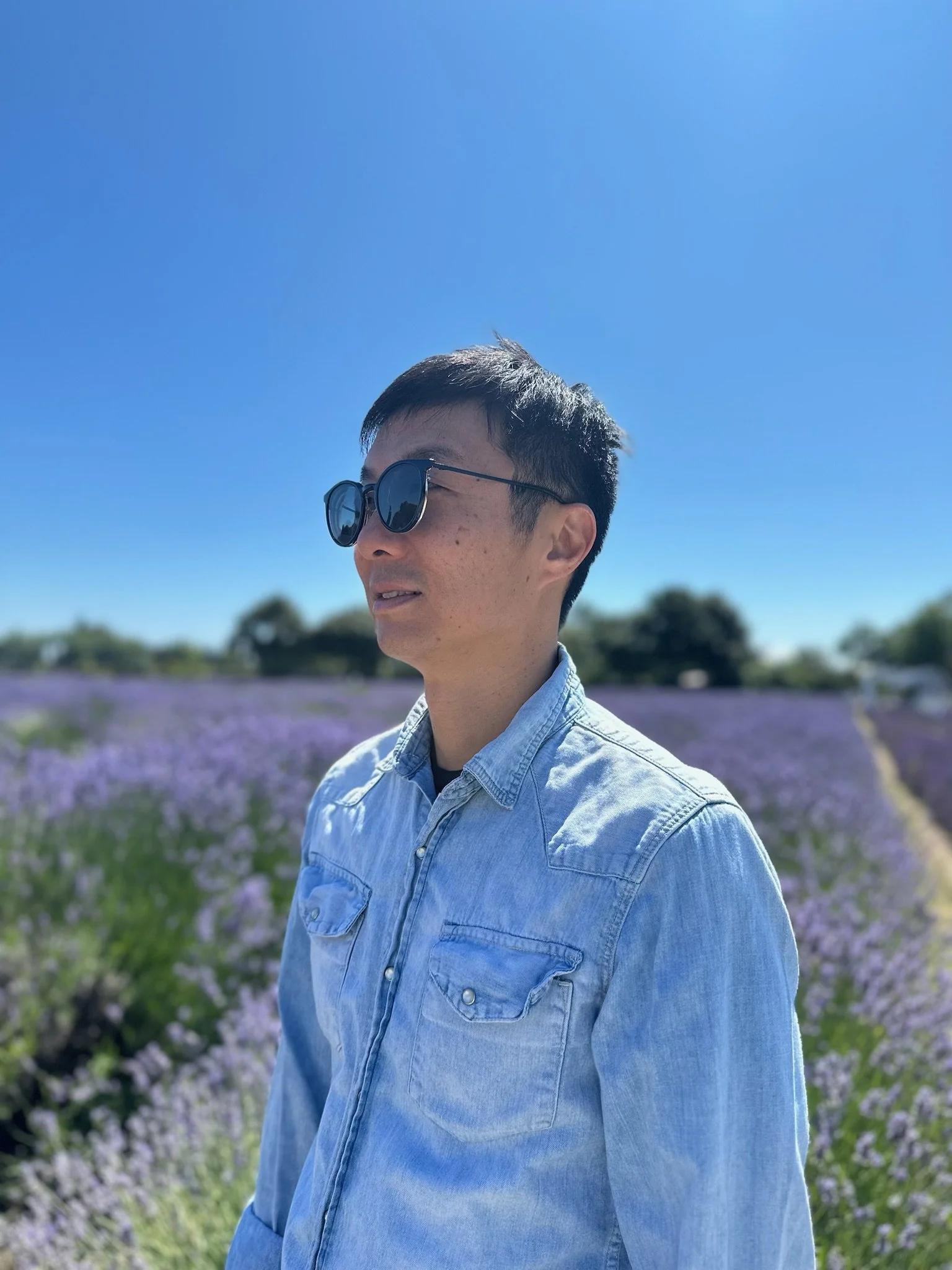 A man with short black hair wearing round sunglasses and a light denim jacket standing in a lavender field on a clear sunny day.
