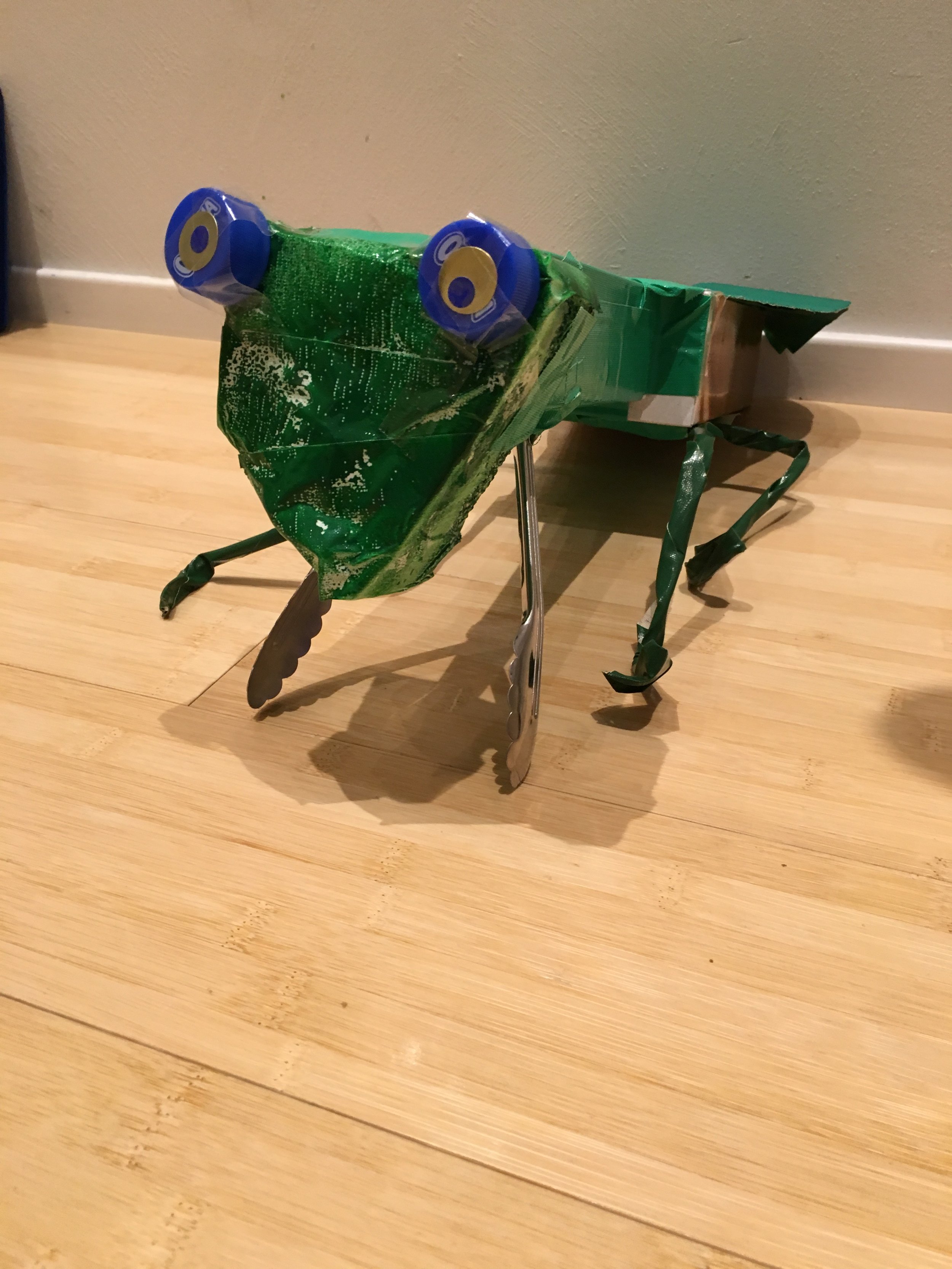 IMG_0472.jpeg