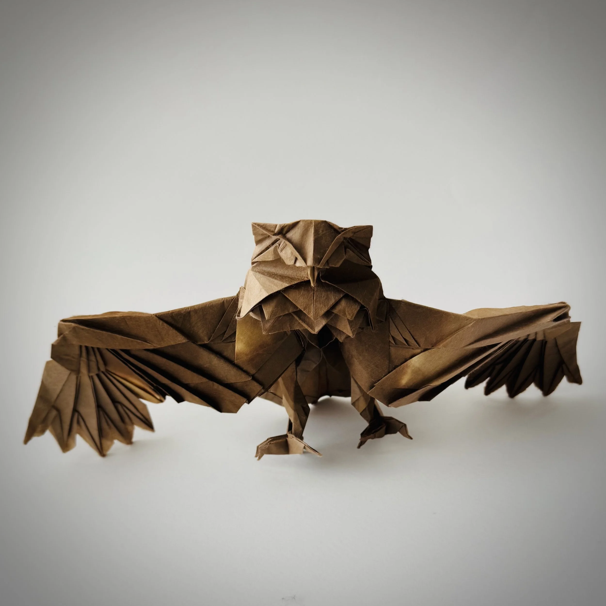 Among origami artists, this owl is known as one of the hardest. The first time I saw those chest feathers, I had no idea how they were even possible.