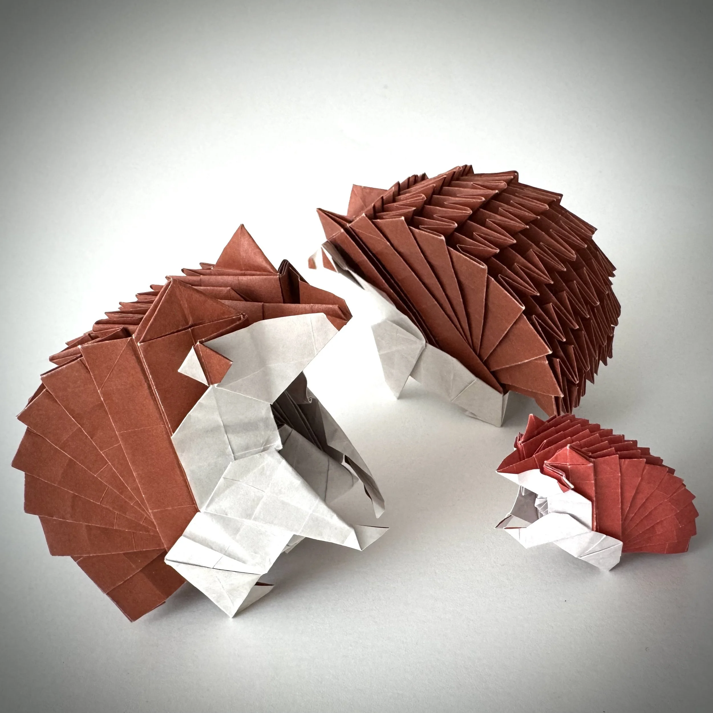 Hello! We are a hedgehog family. Our backs are folded in Miura-ori. Pretty cool, right?
