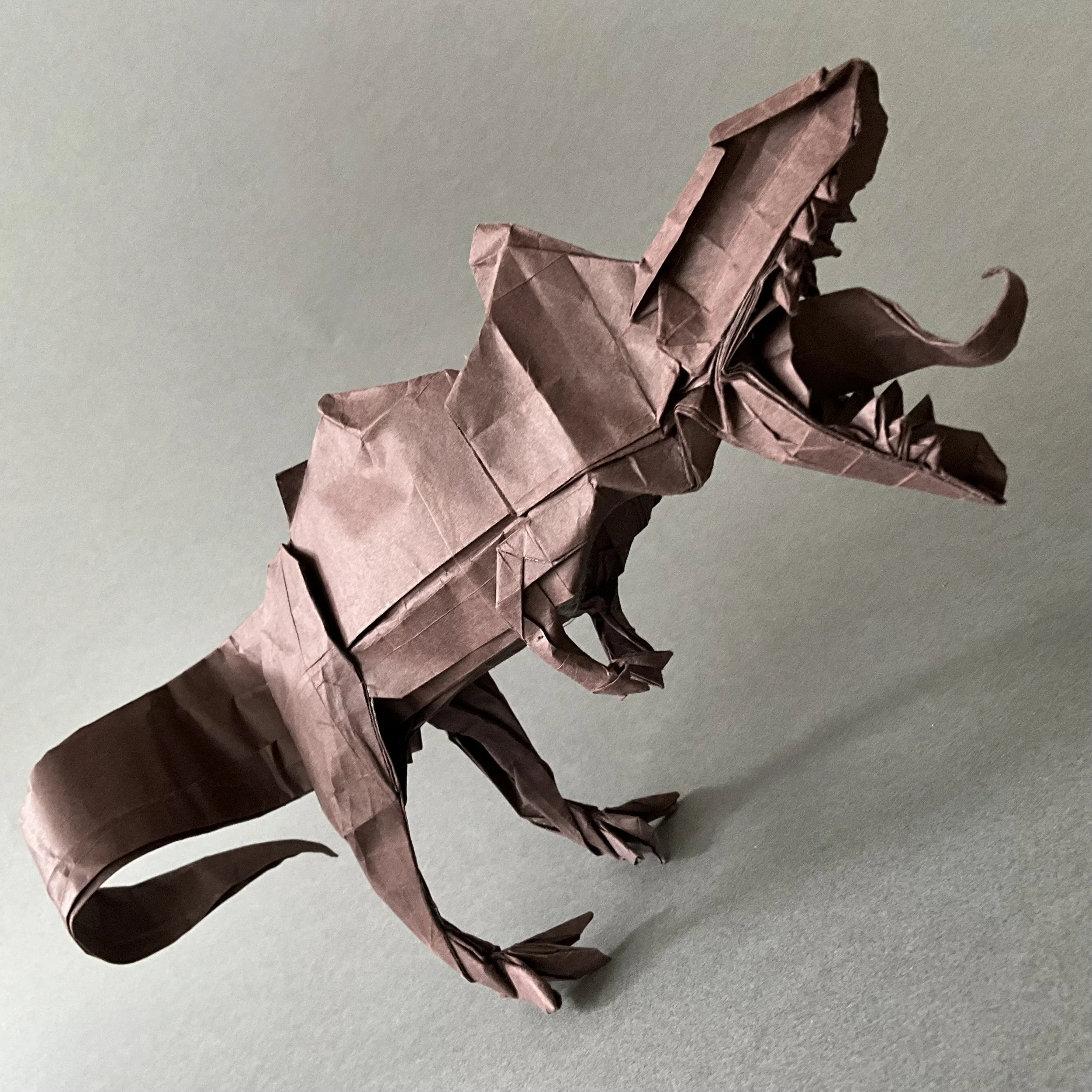 Building this model made me realize how unbalanced a T. rex actually is. Even after folding it, it still couldn't stand on its own. It made me wonder: how exactly did they manage to balance themselves in real life millions of years ago?
This project 