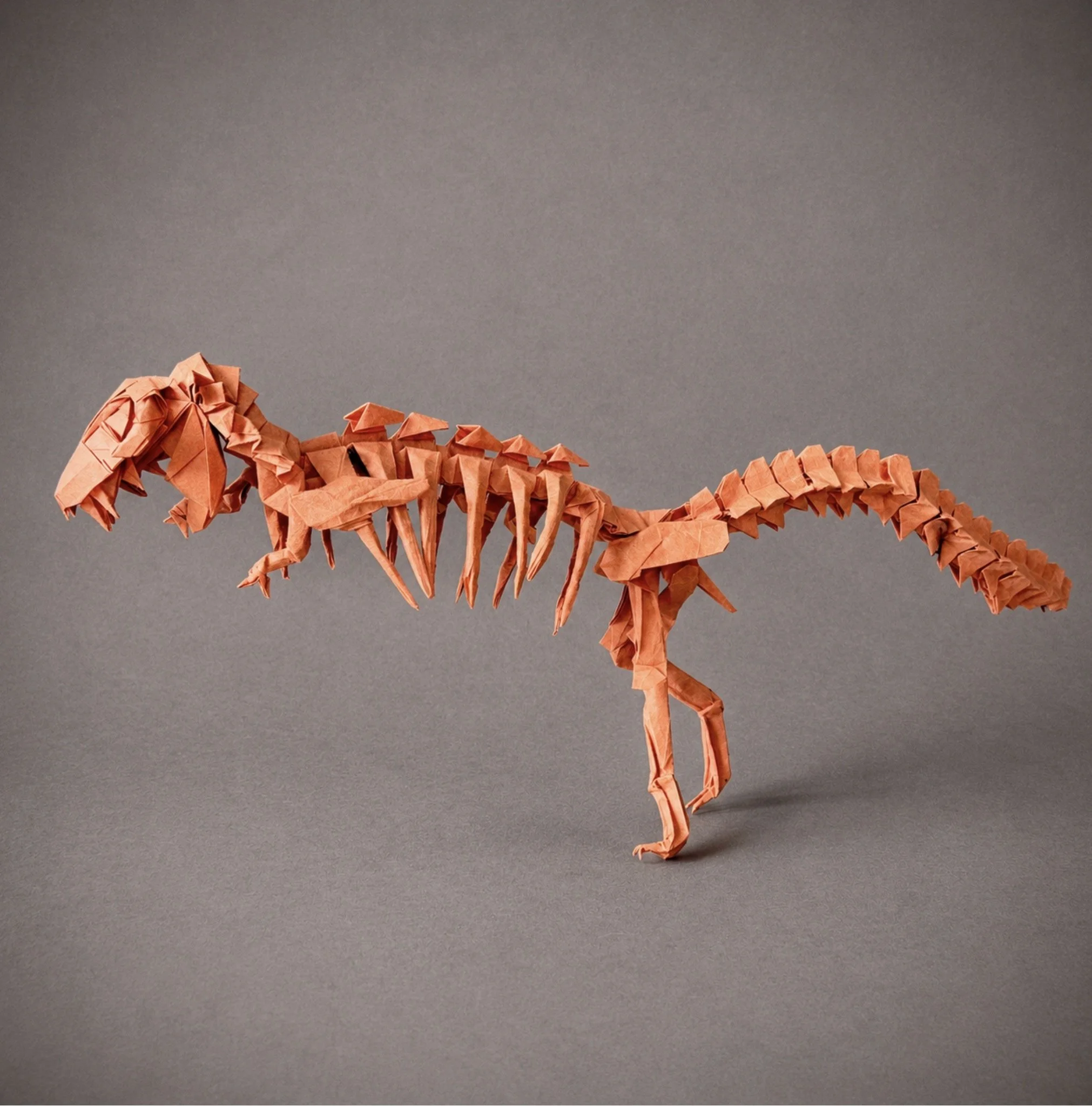 I made this T-rex skeleton from 21 squares of paper without cutting them. It took around 20 hours to fold and put everything together. Making each part separately helped me see how the bones connect.