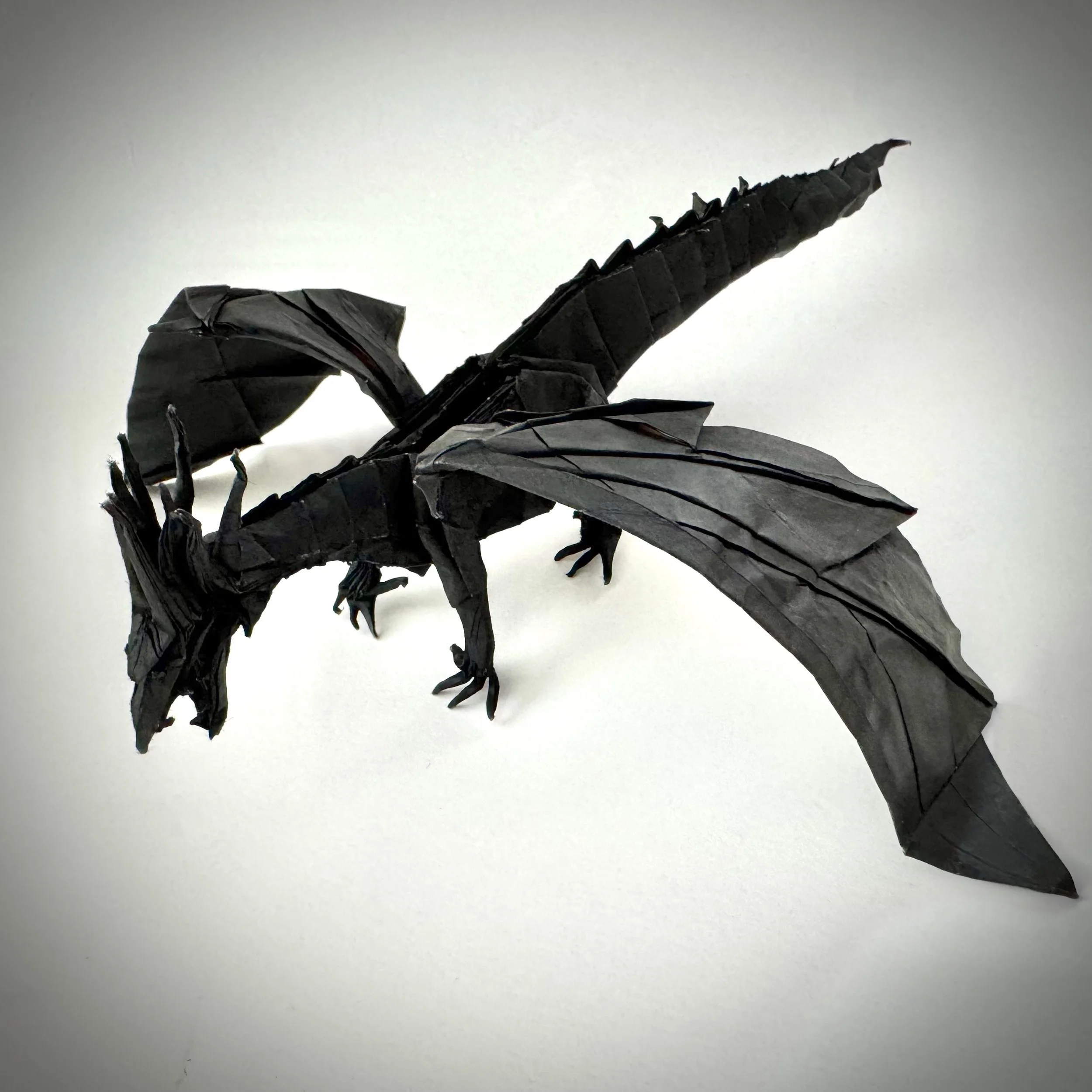 Black is the hardest color to fold. You cannot see the crease lines — every fold is made from memory and instinct.