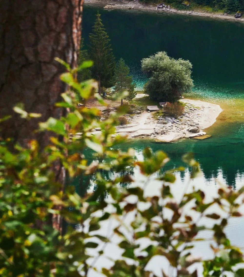 branding-signaletik-caumasee-2.jpg