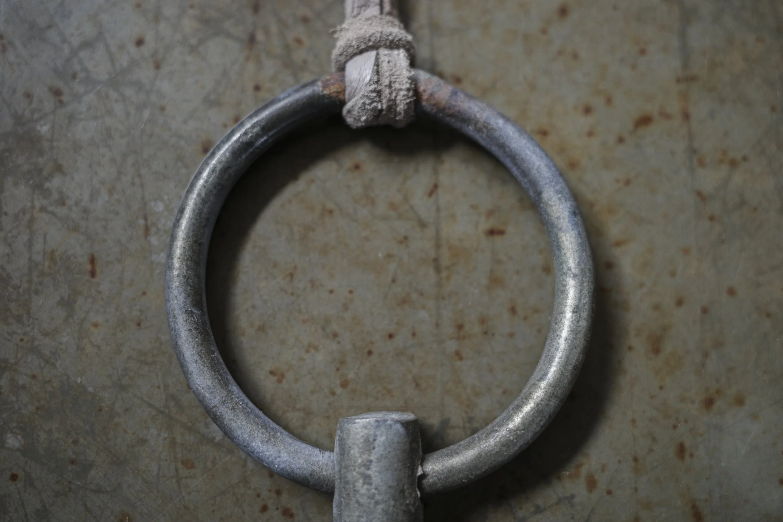 R0029750.jpg