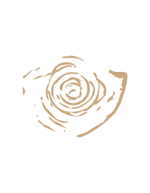 Illustration d'une grosse pièce de bois avec des cercles de croissance.