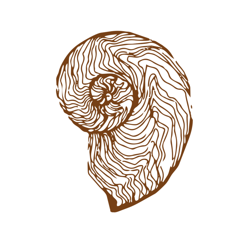 Une image d'une ligne brune représentant un dessin de chouette stylisée en forme de empreinte digitale sur fond noir.