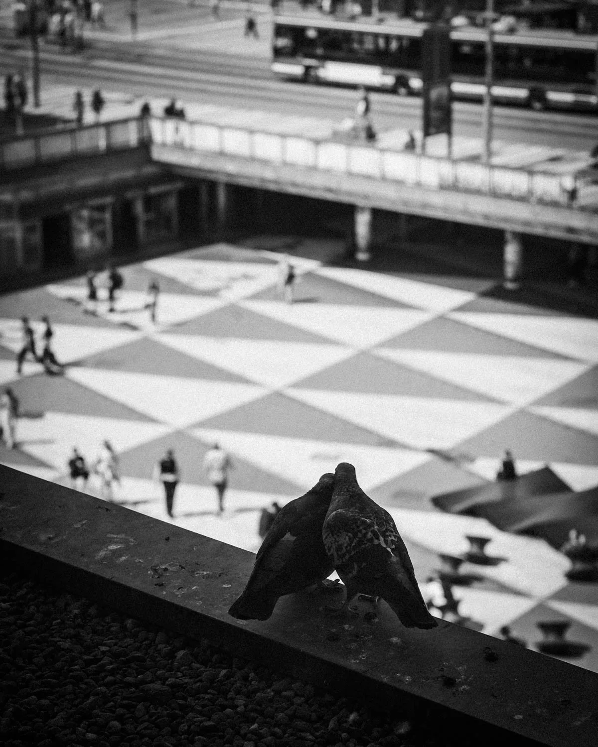 Två duvor sittande på en mur med en övervakande Sergels torg i bakgrunden, människor som går på ett rutmönstrat torg, i svart och vitt.