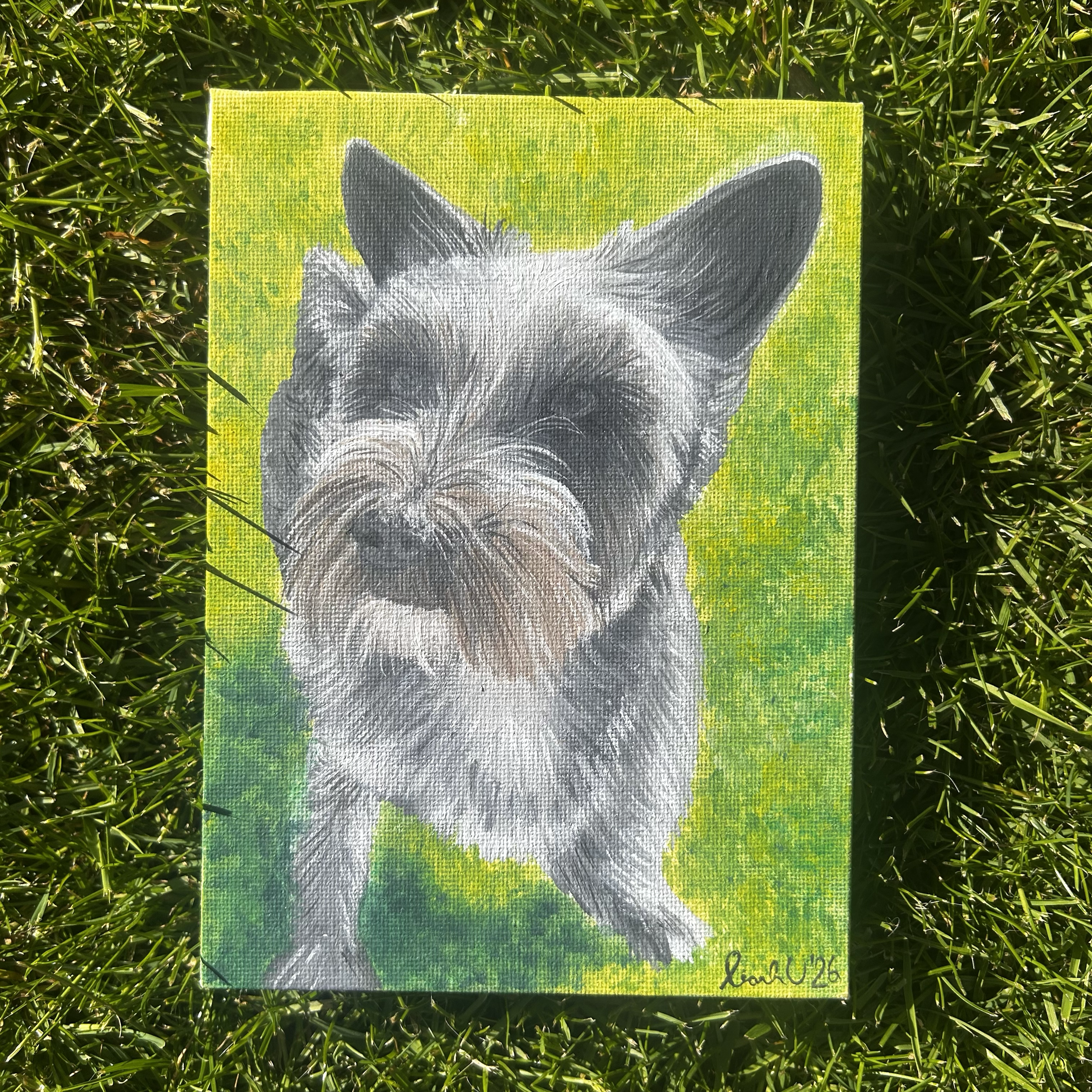 Pet Portrait Size Small