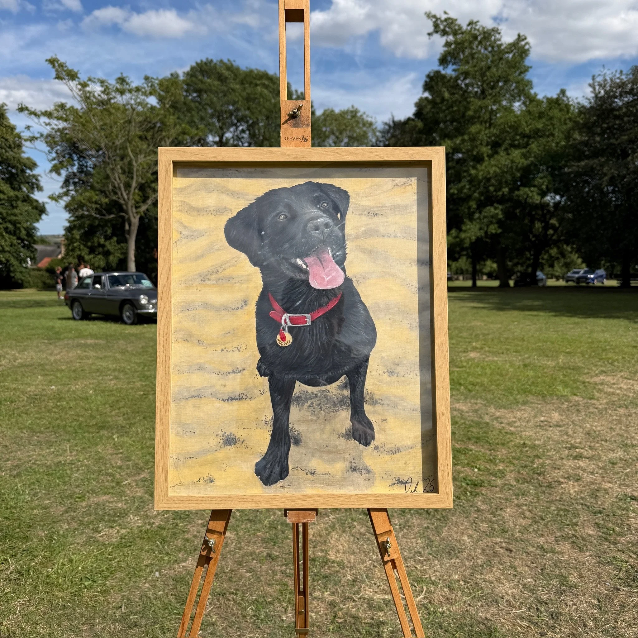 Pet Portrait Size Large