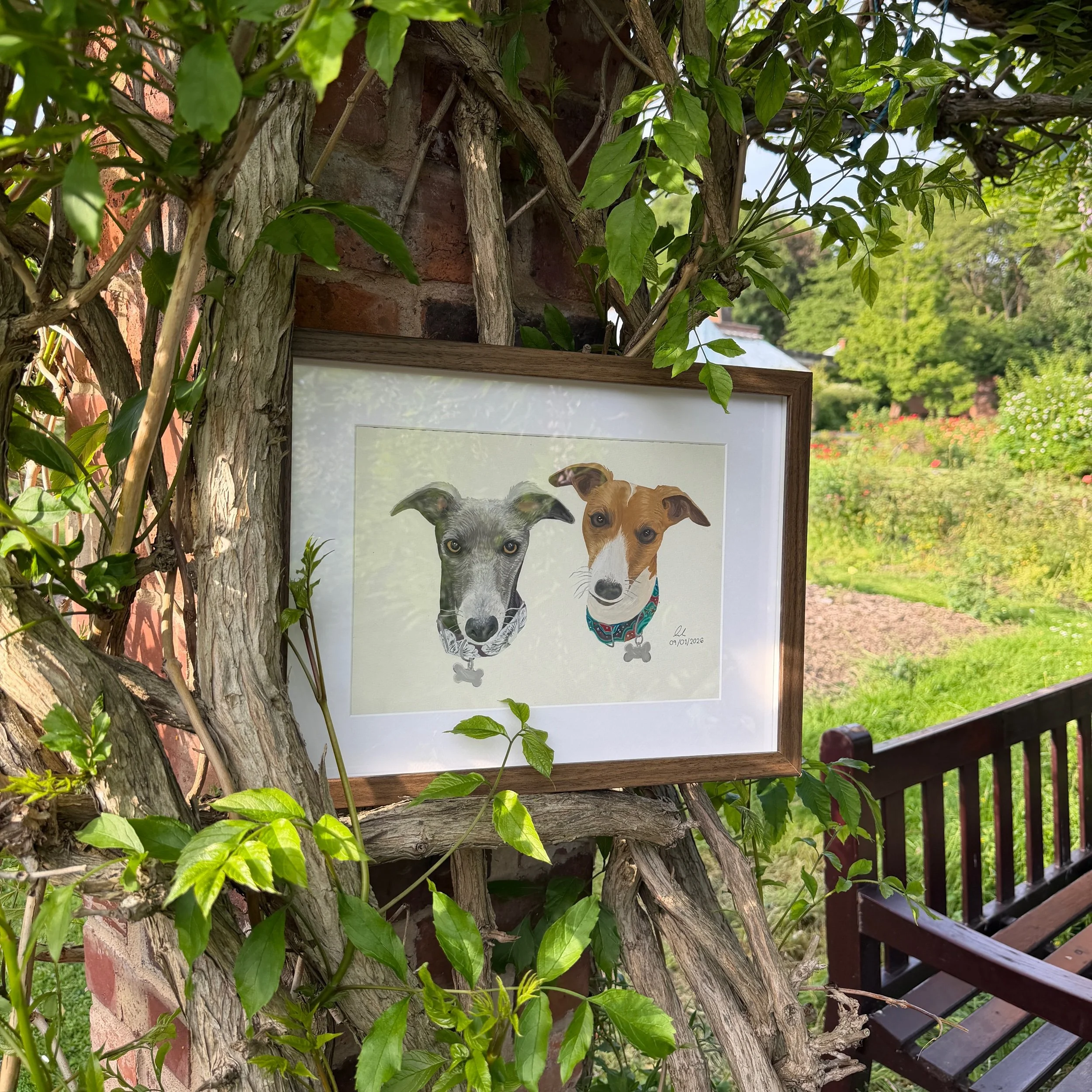 Pet Portrait Size Medium