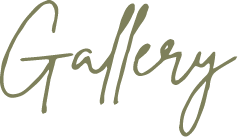 Text reading 'Galleries' in stylish script on a plain background