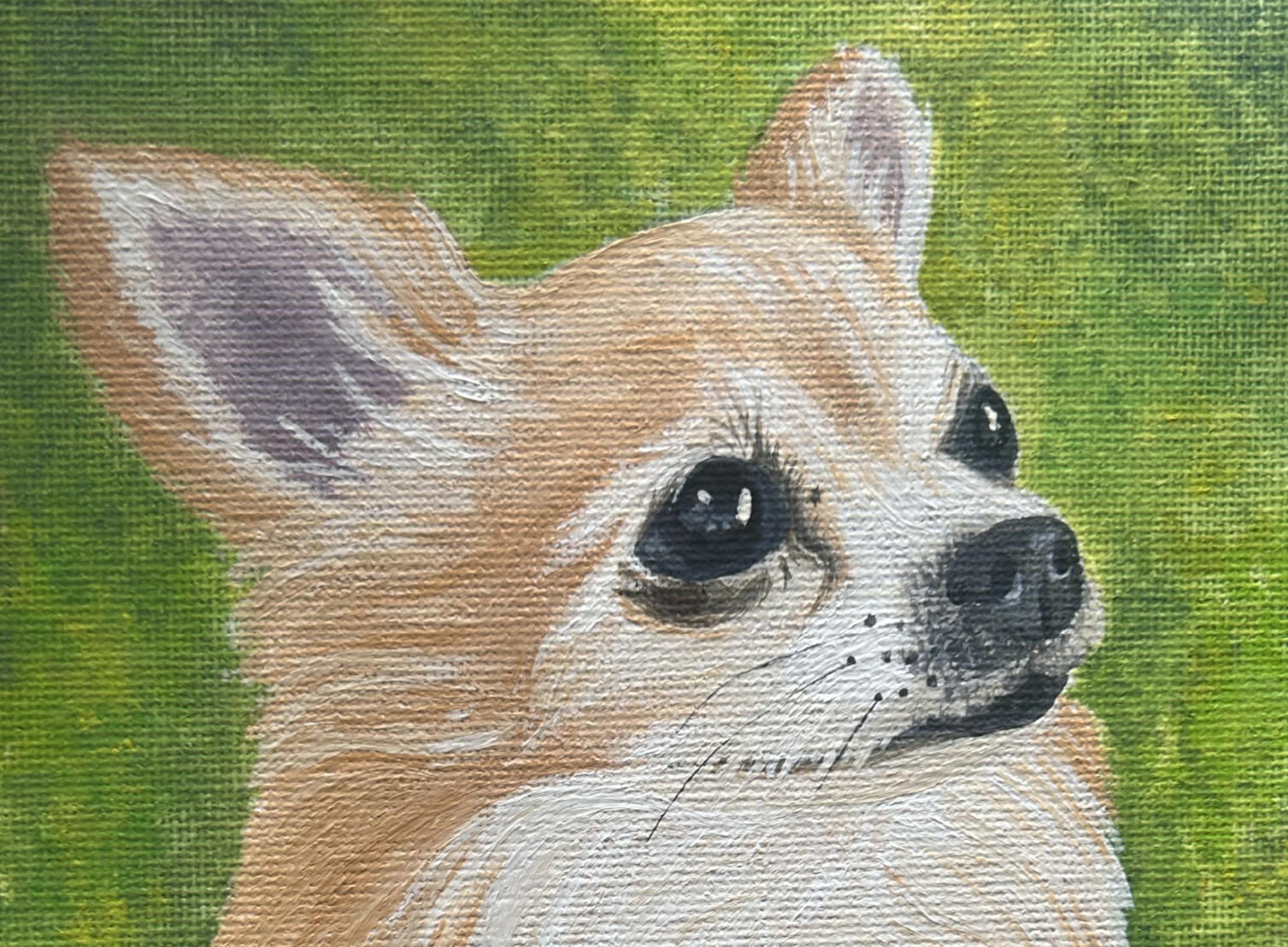 Pet portrait for a private commission finished in oil paint.
