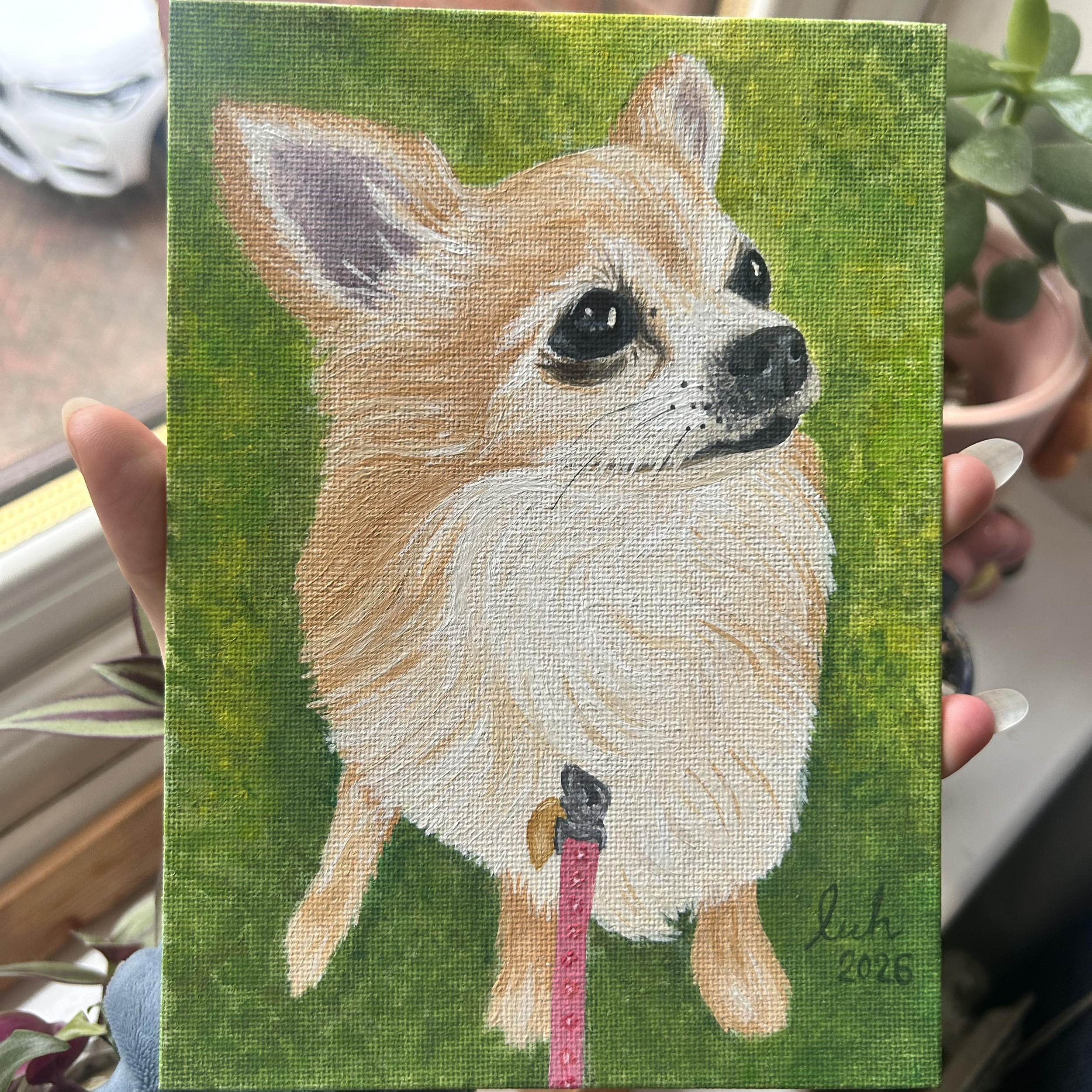 Oil painting of Minnie for a family in Yorkshire