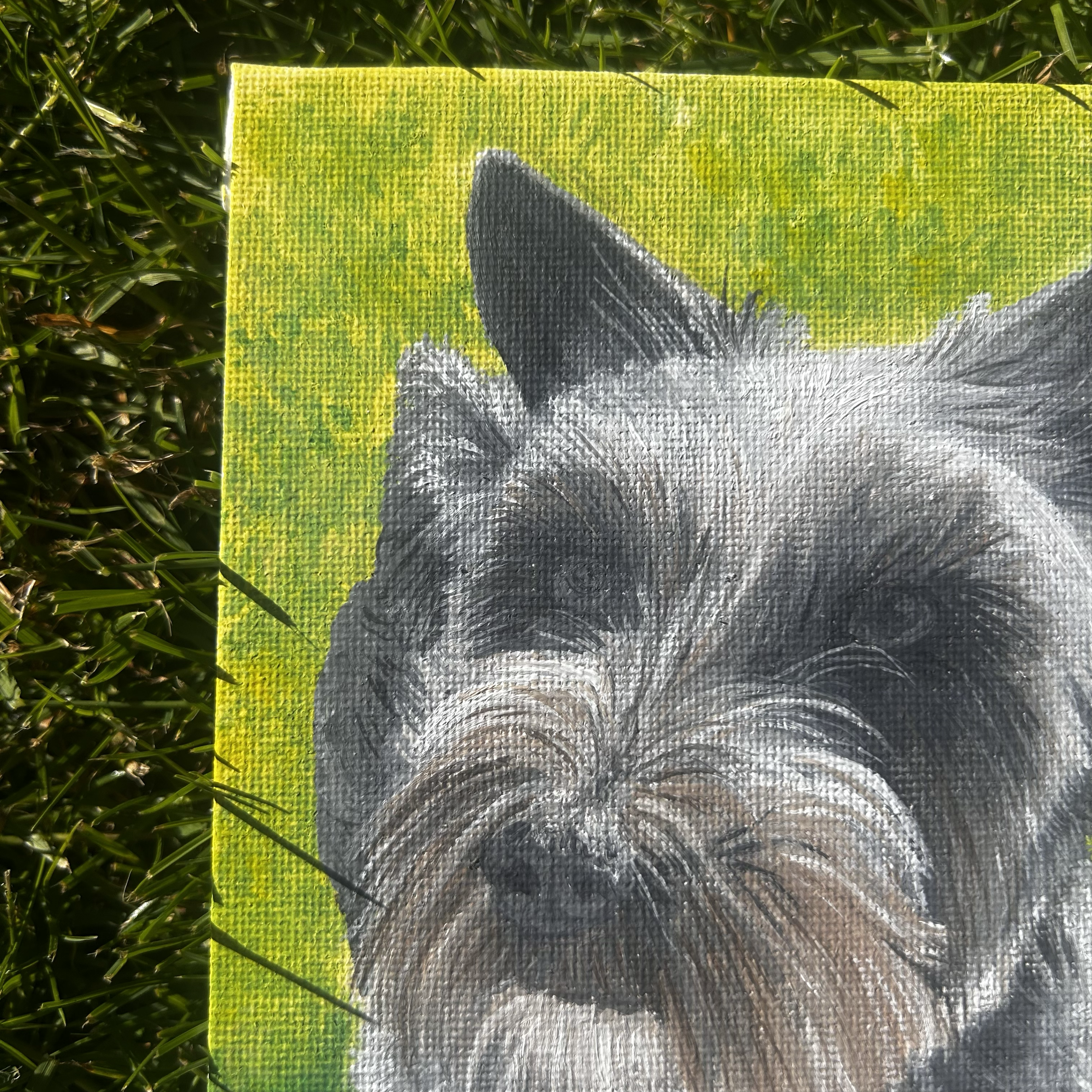 Beloved pet portrait of Hendricks close-up