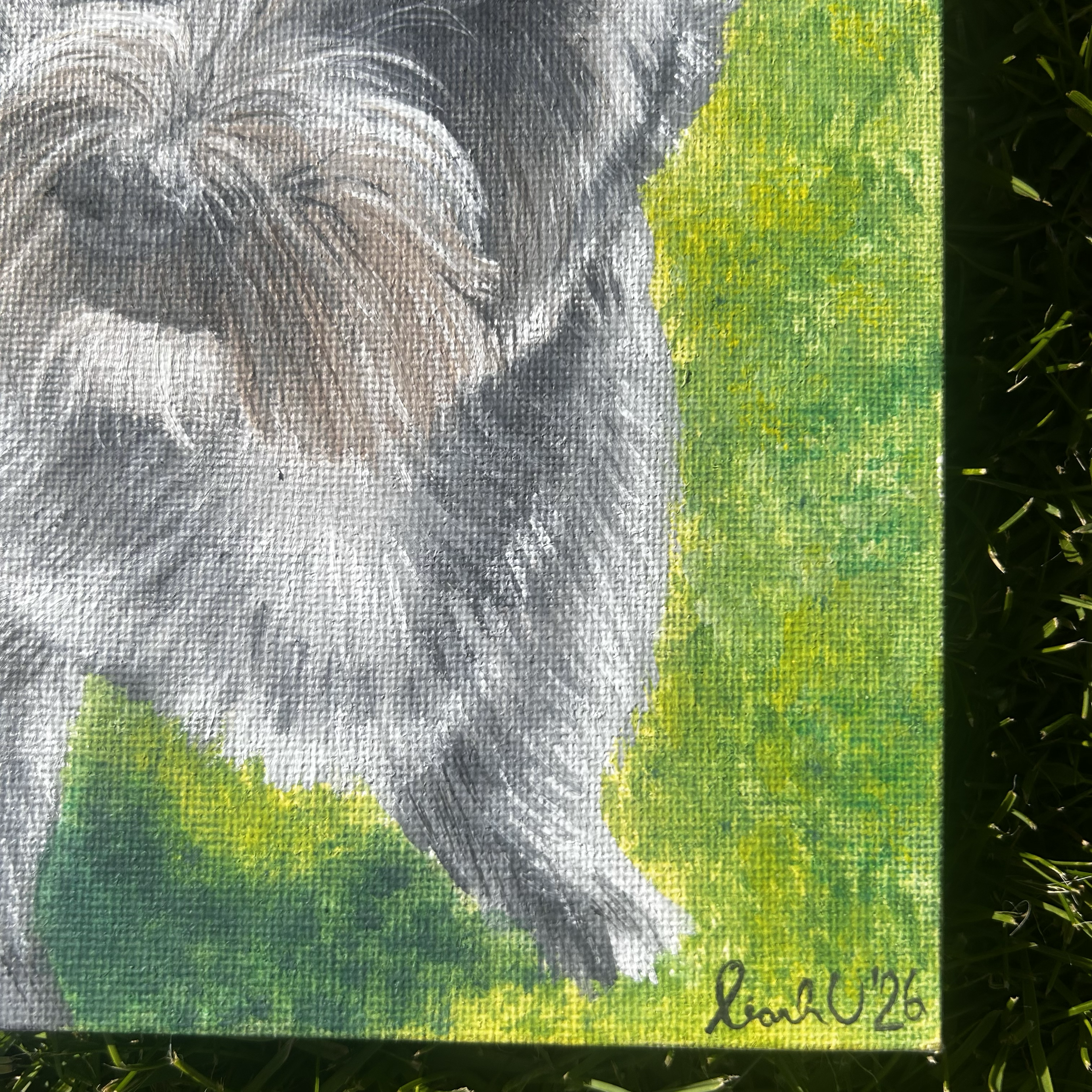 Beloved pet portrait of Hendricks