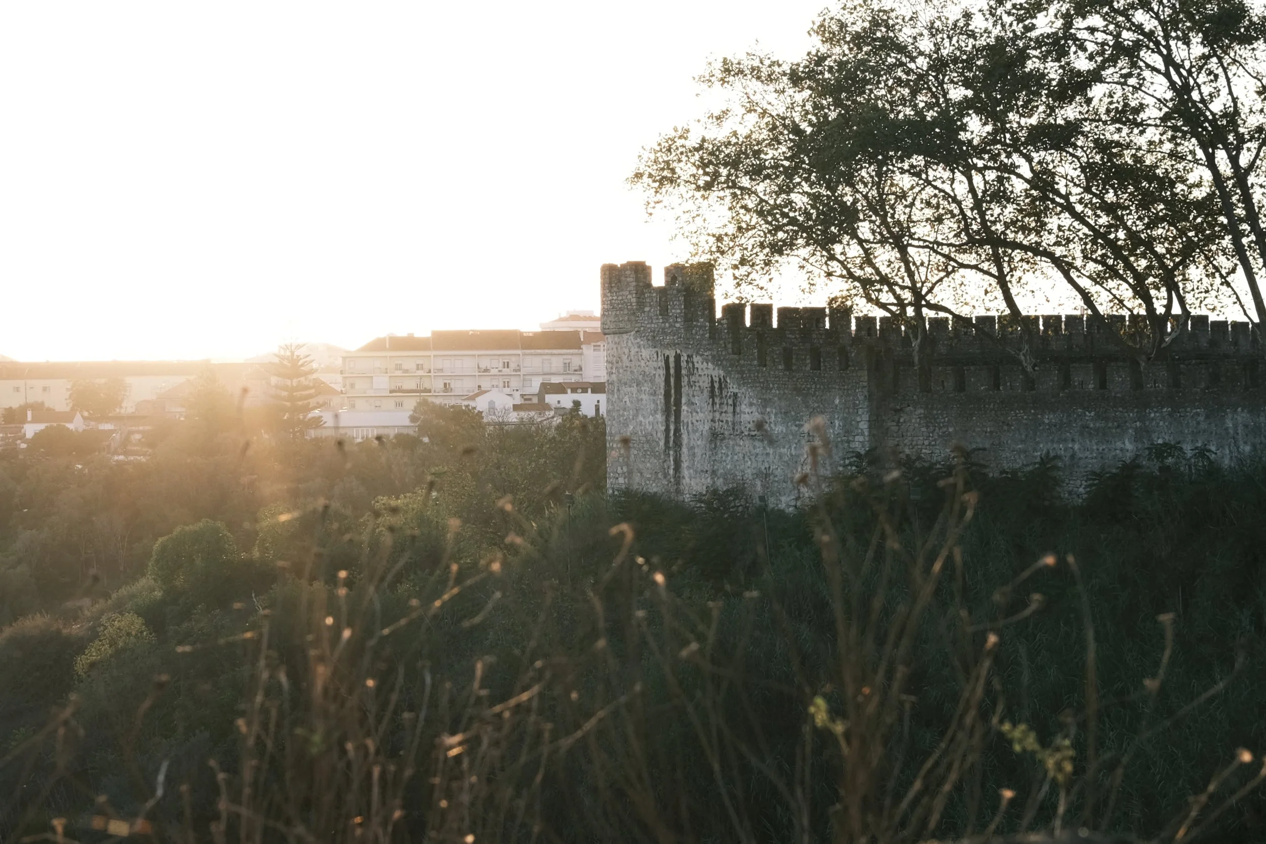 A historic stone castle wall with battlements, surrounded by trees with full foliage, and a distant view of modern buildings at sunset.