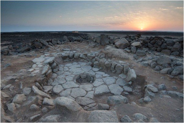 How Did Bread Survive for More Than 14,000 Years?