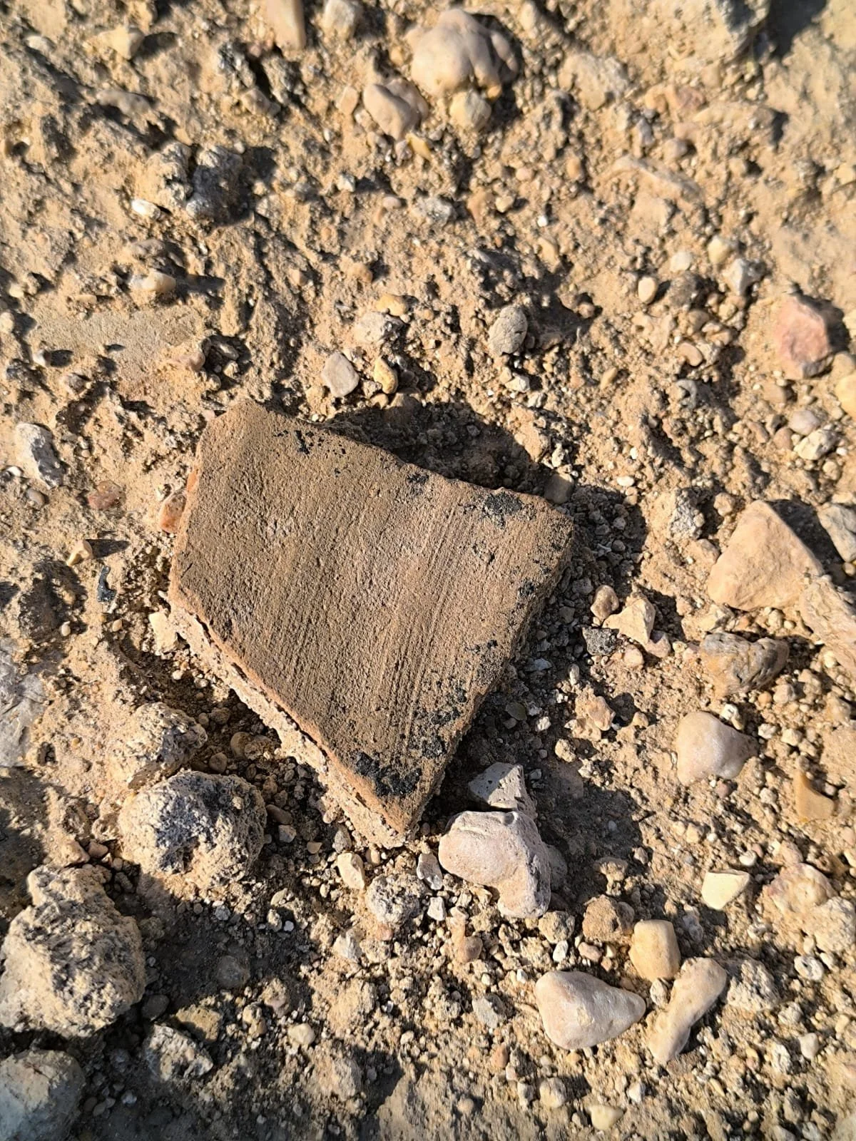 A small pottery fragment lying on the ground, surrounded by dirt, small rocks, and pebbles.