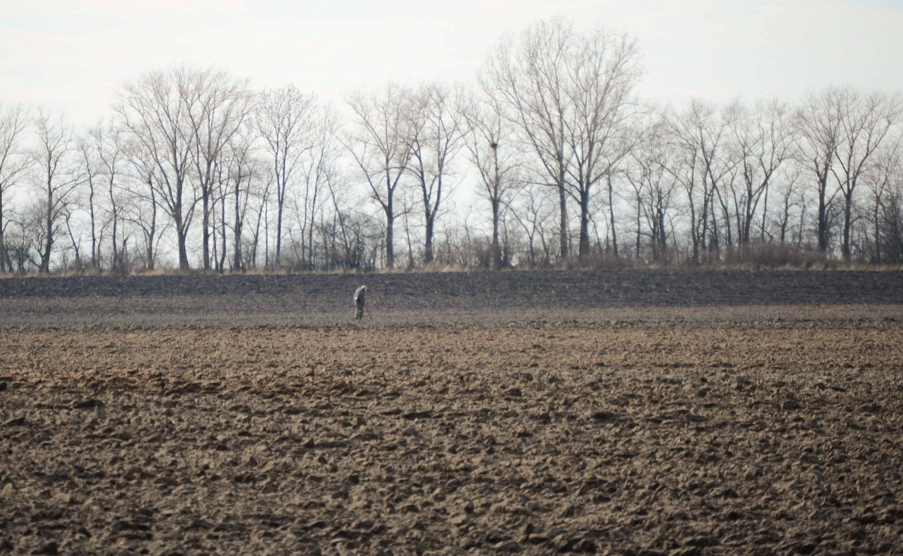 The Portal of Amateur Collaborators: A New Cooperative Model for Amateur Metal Detecting