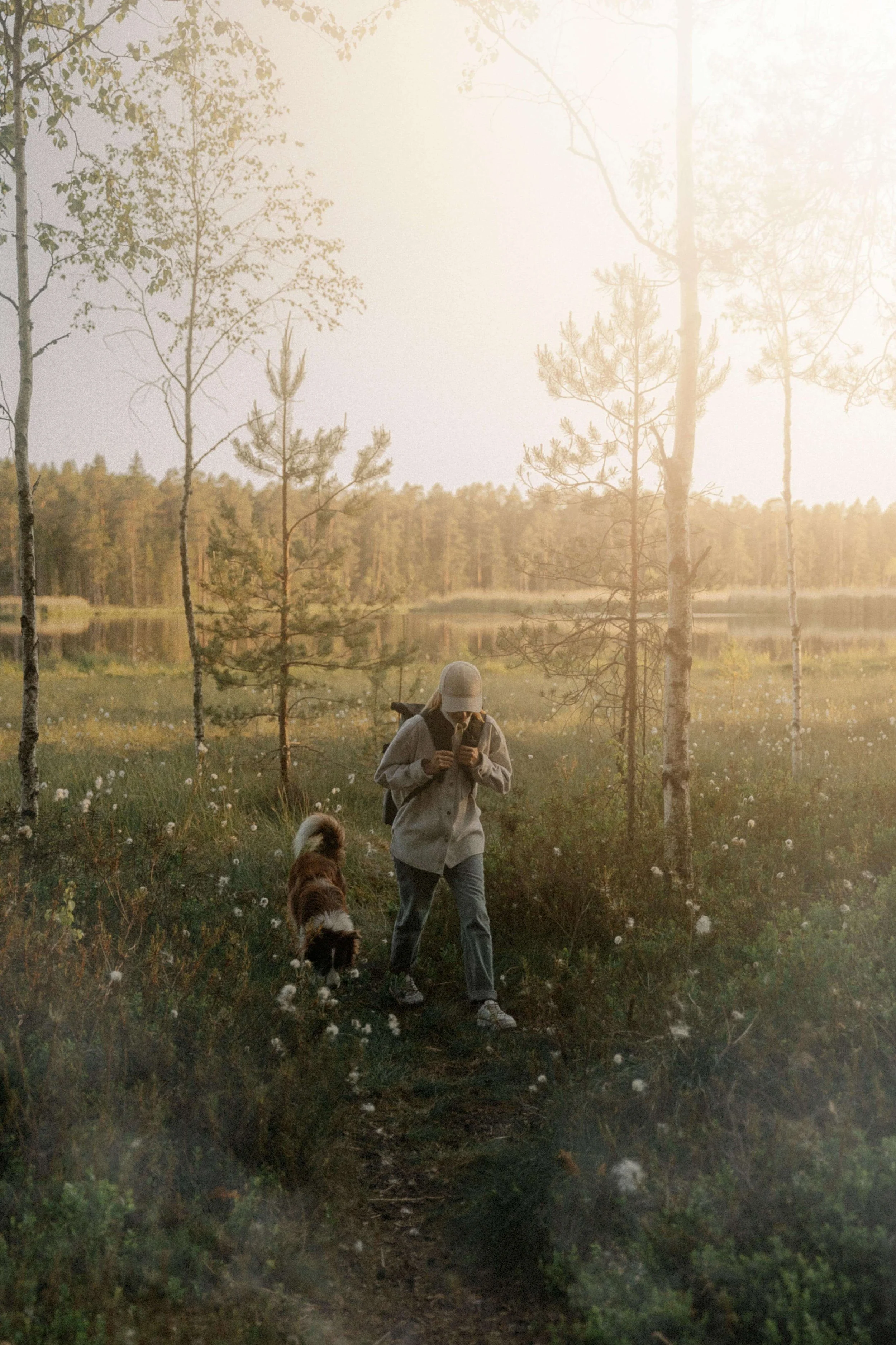 A person wearing a hat, jacket, and pants walks along a trail with two dogs in a natural setting at sunset. Tall trees and a body of water are visible in the background.