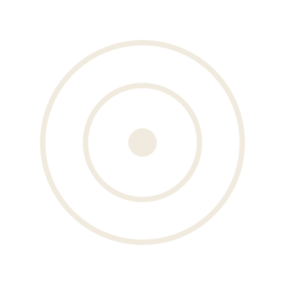 Target with concentric circles and a central dot