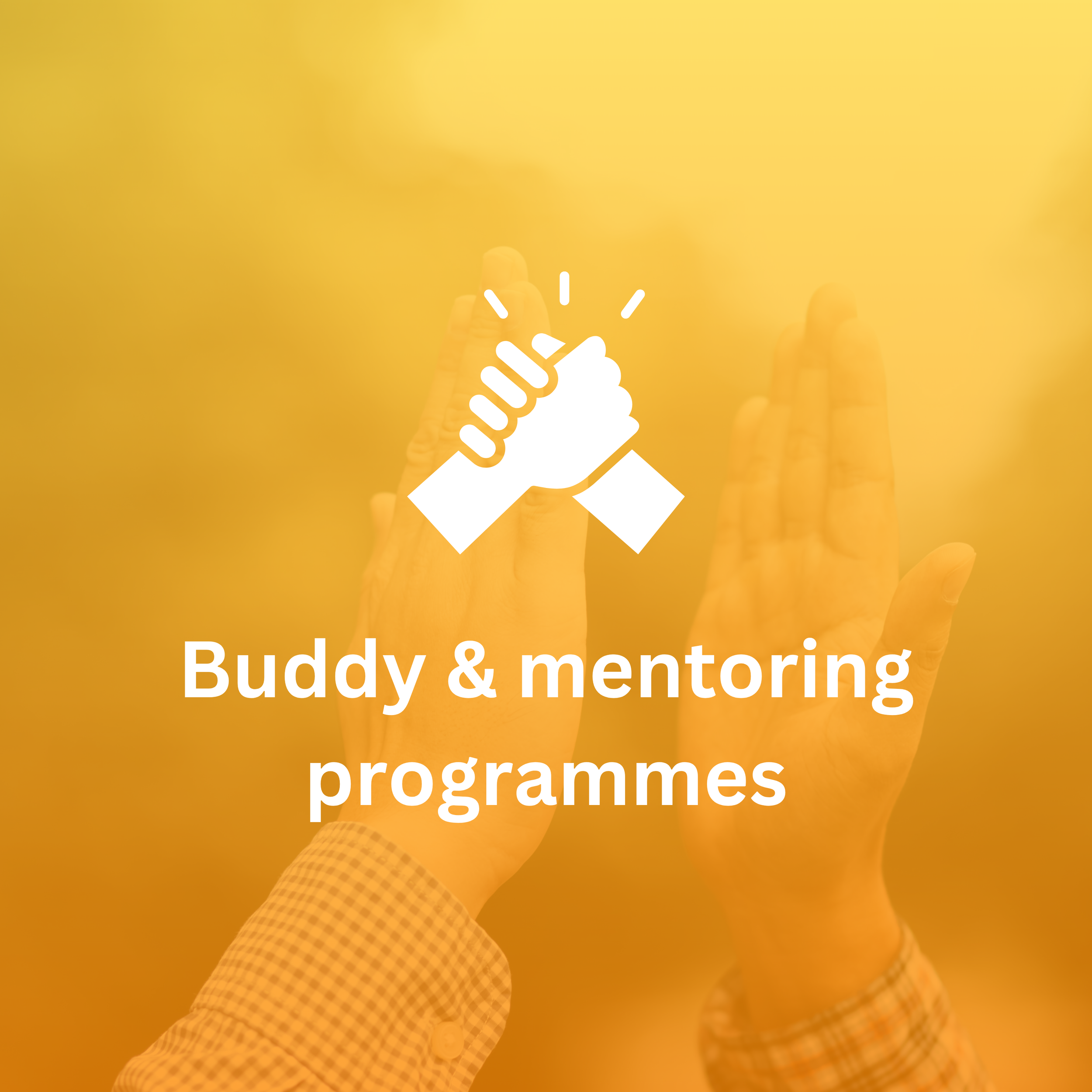 community-social-life-buddy-mentoring.png