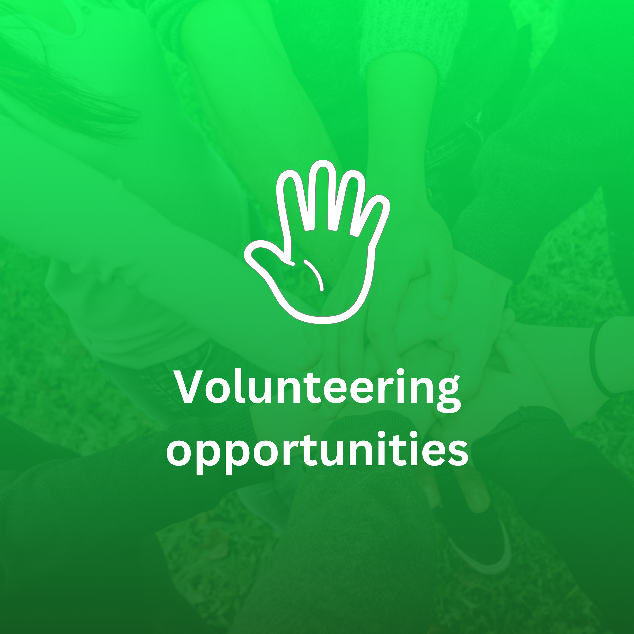 youth-engagement-volunteering.png
