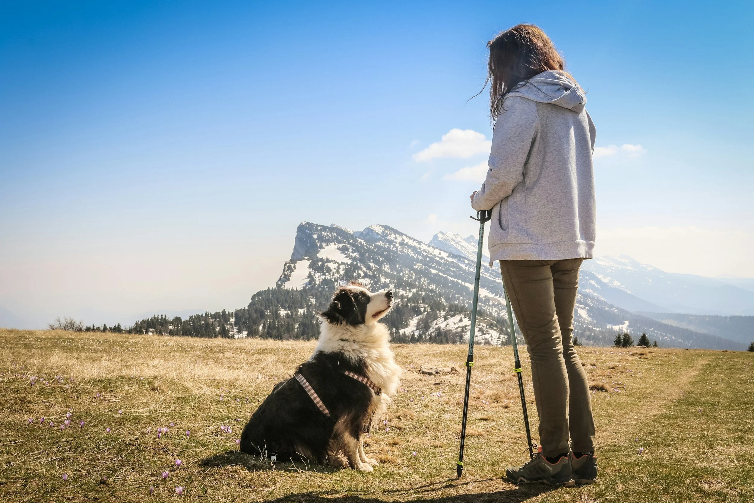 Frau mit Hund beim Wandern in den Bergen, im Hintergrund Schnee bedeckte Berge, blauer Himmel.