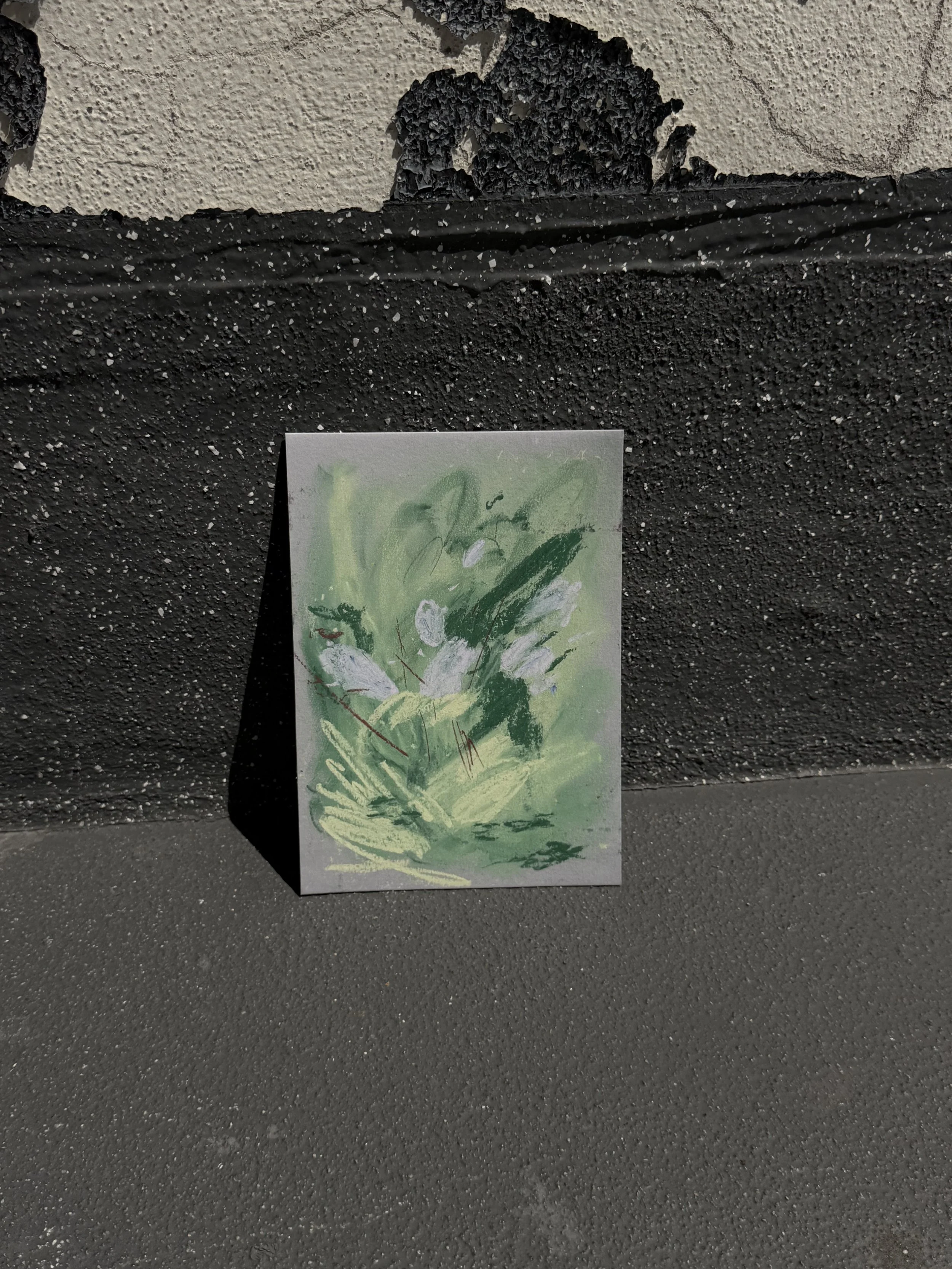 Herbstanemone - The Pond's Secret