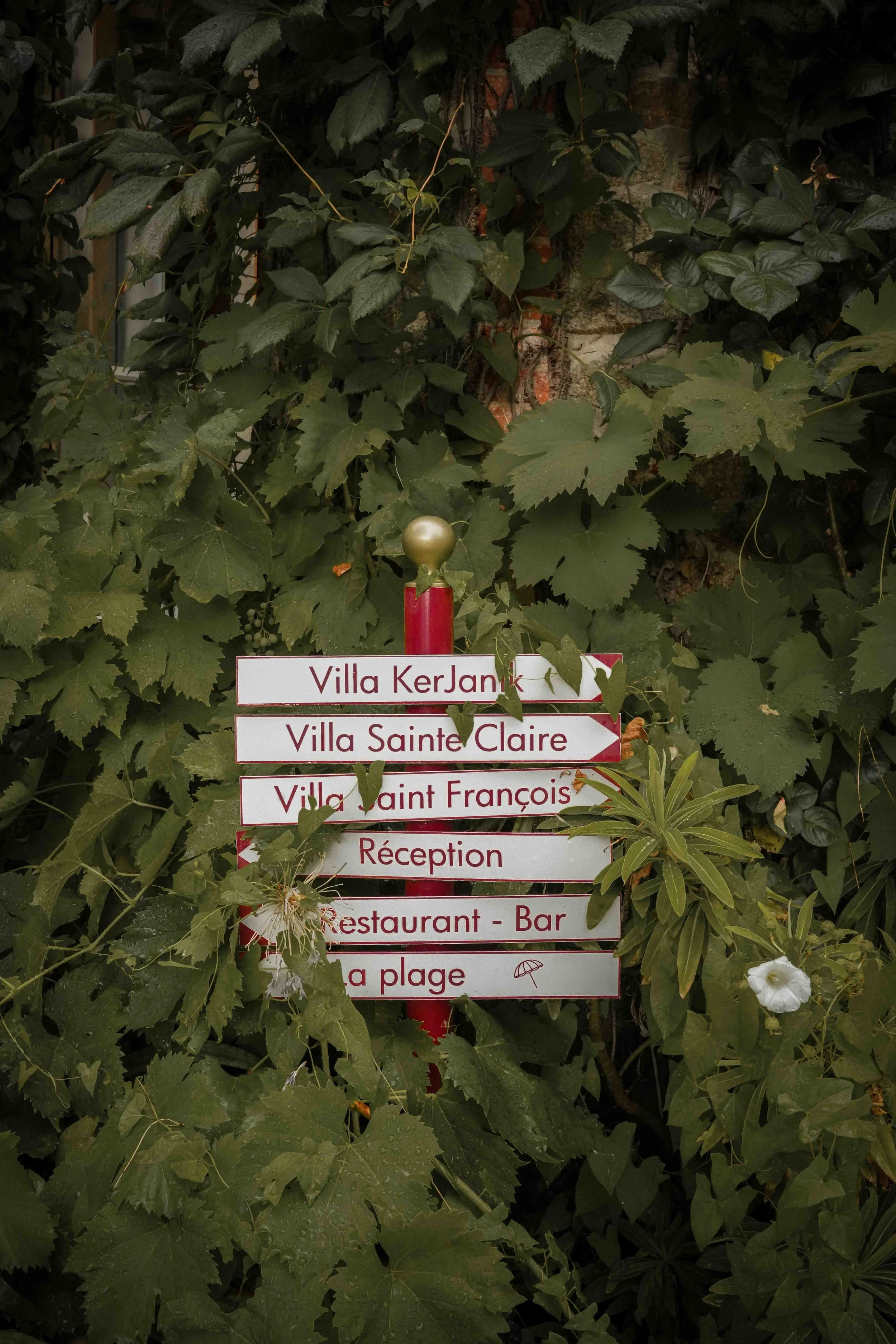Alma Olene - Photographie hôtellerie120.jpg