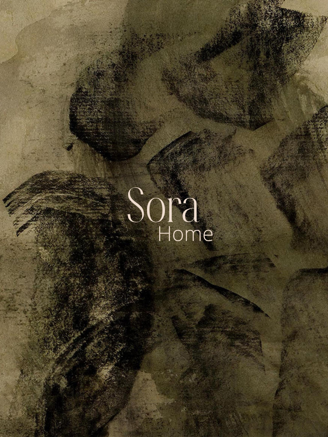 Sora home