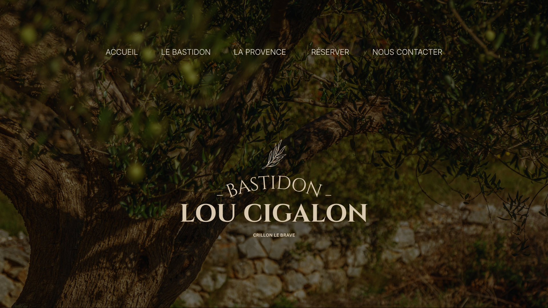 Création de site web, webdesign.