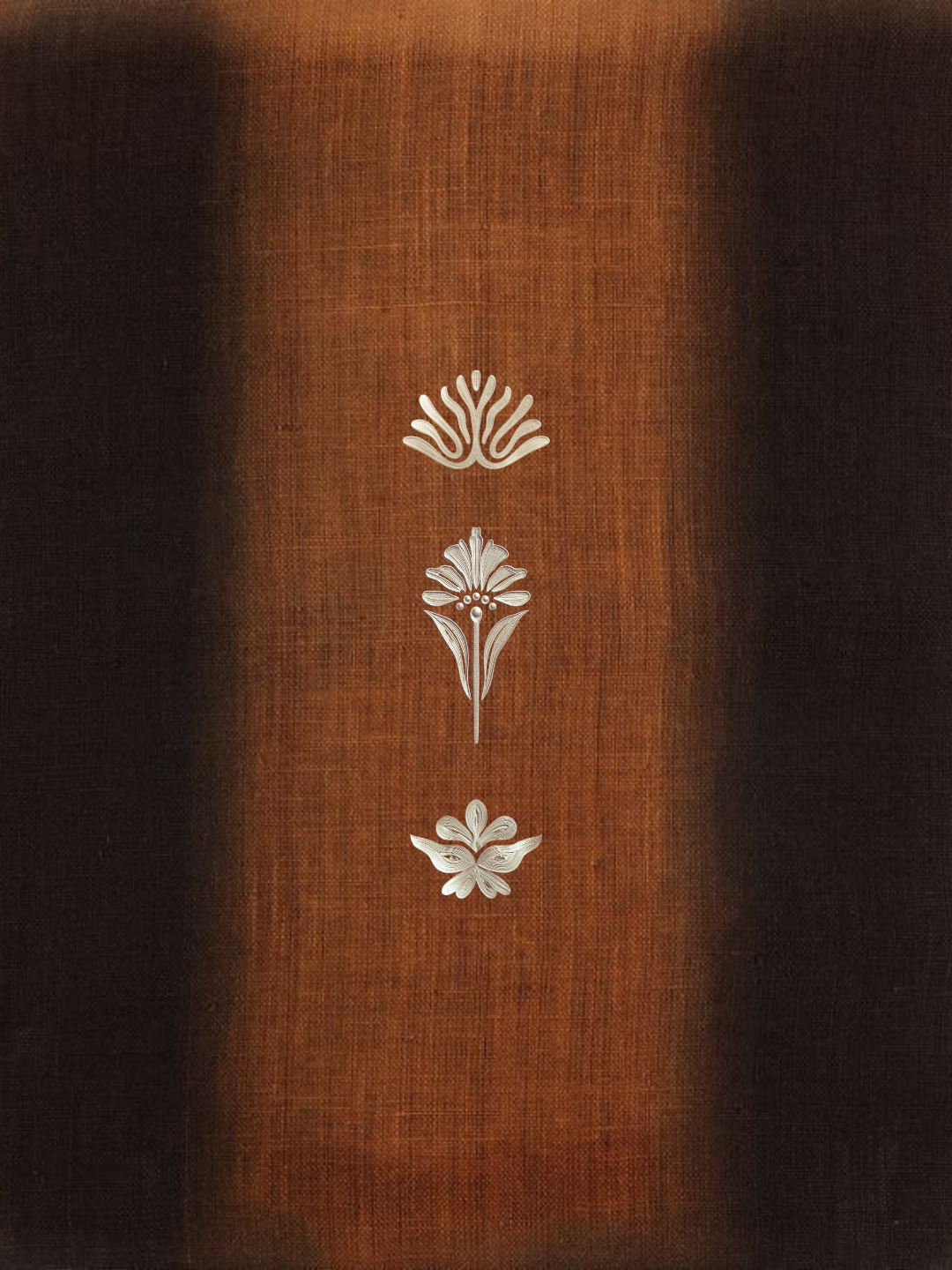 Couverture d'un livre en cuir marron avec des motifs argentés ornés au centre.
