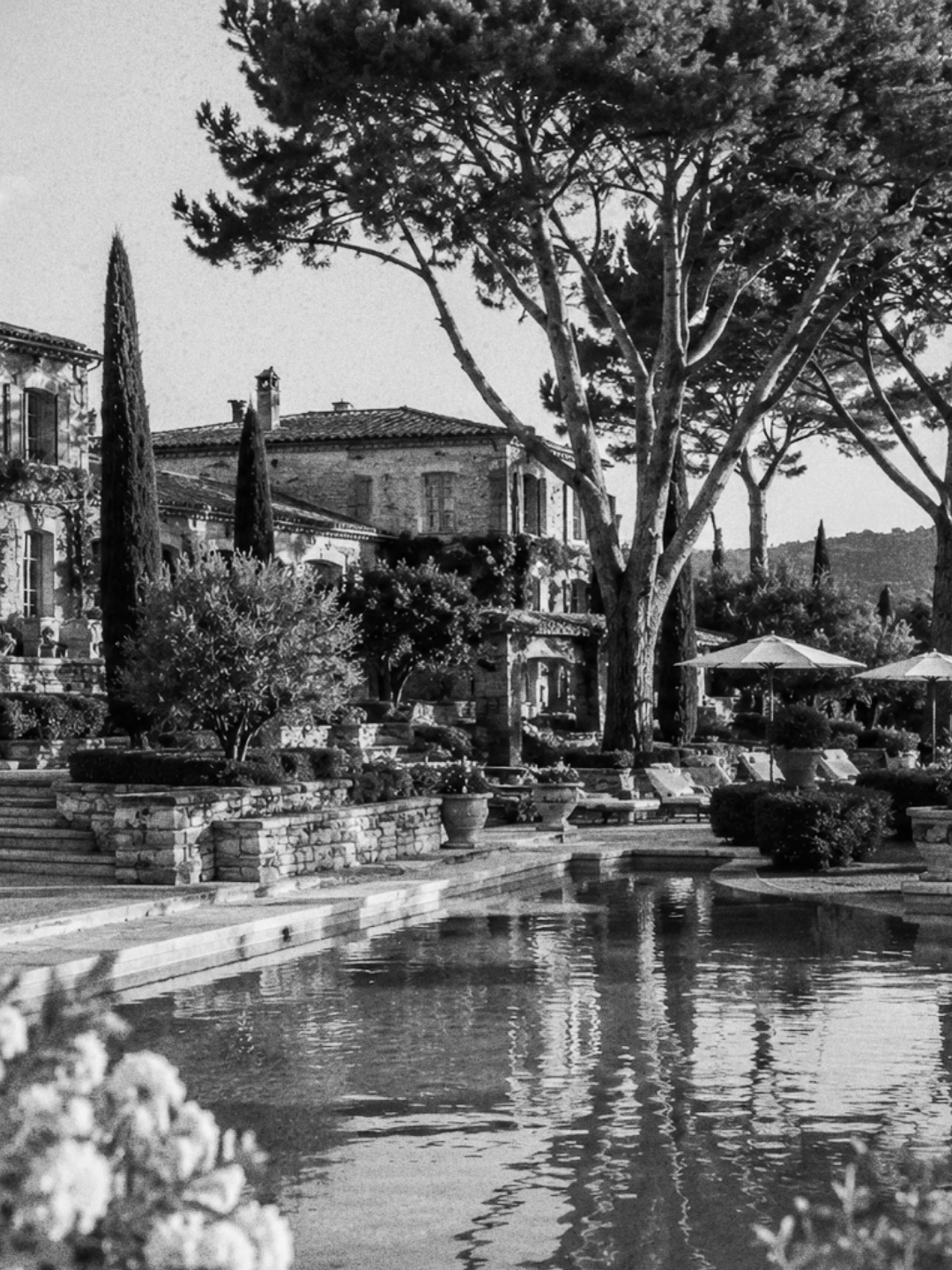 Une scène de jardin avec une grande maison en arrière-plan, des arbres, des plantes en pot, des parasols, un bassin d'eau et des chaises longues.