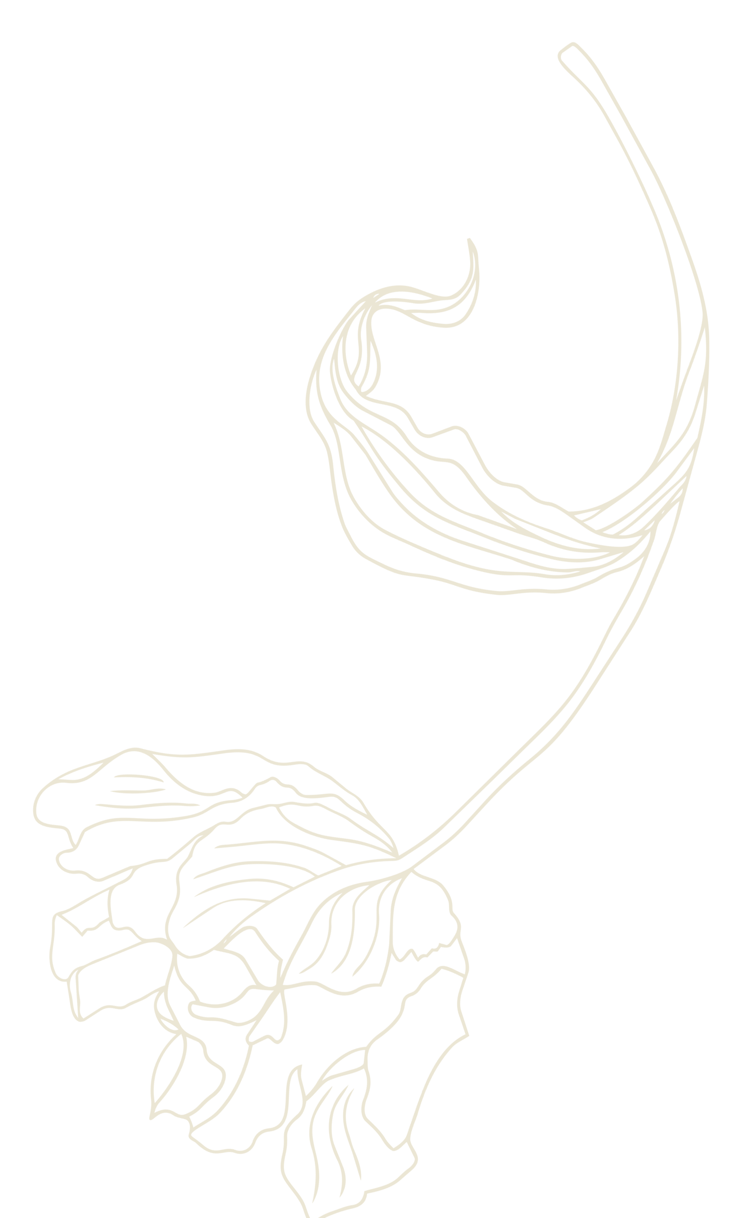 Line drawing of a sunflower plant with one fully bloomed flower and a bud against a black background.