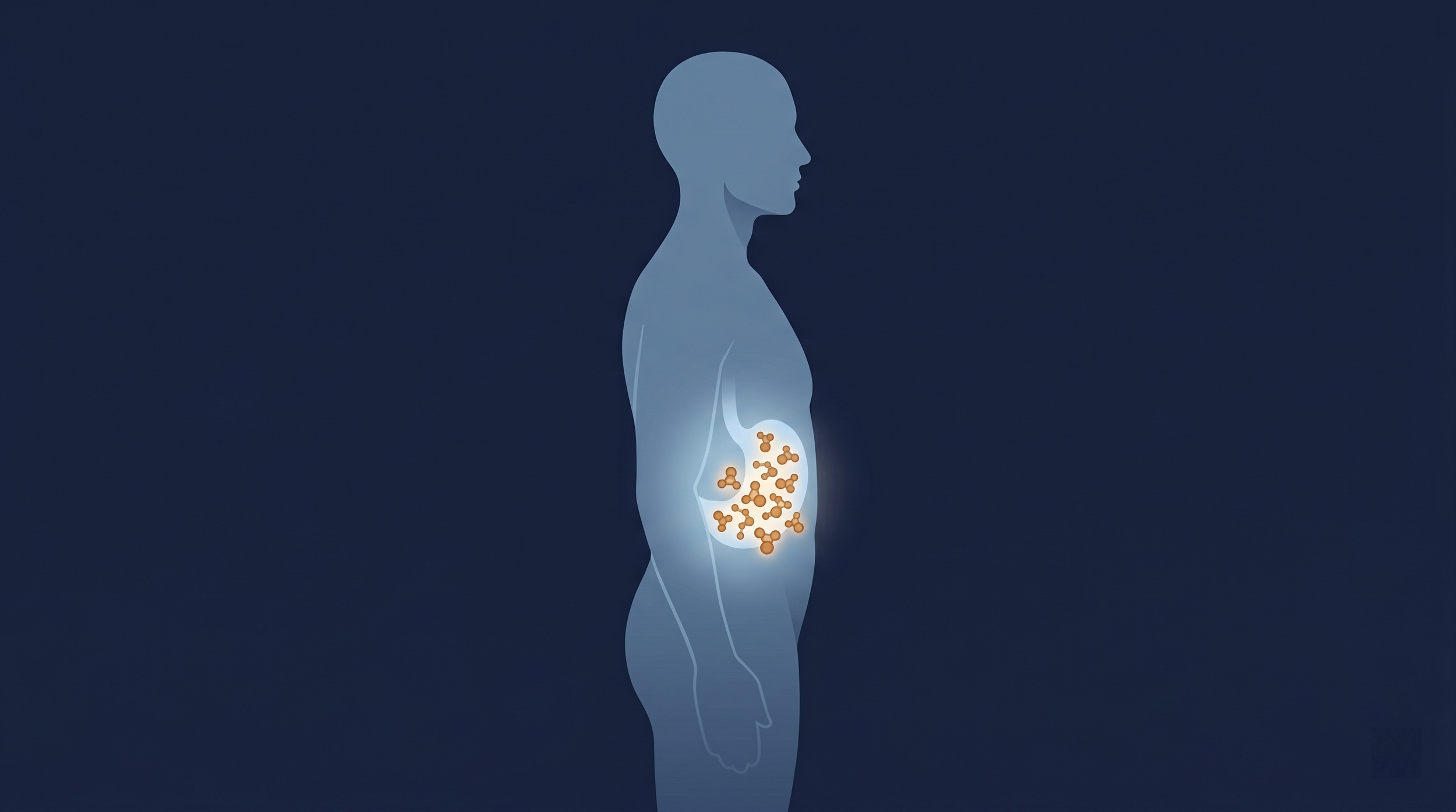 Illustration of a human silhouette in profile with amber molecules accumulating in the stomach area, representing acetaldehyde build-up