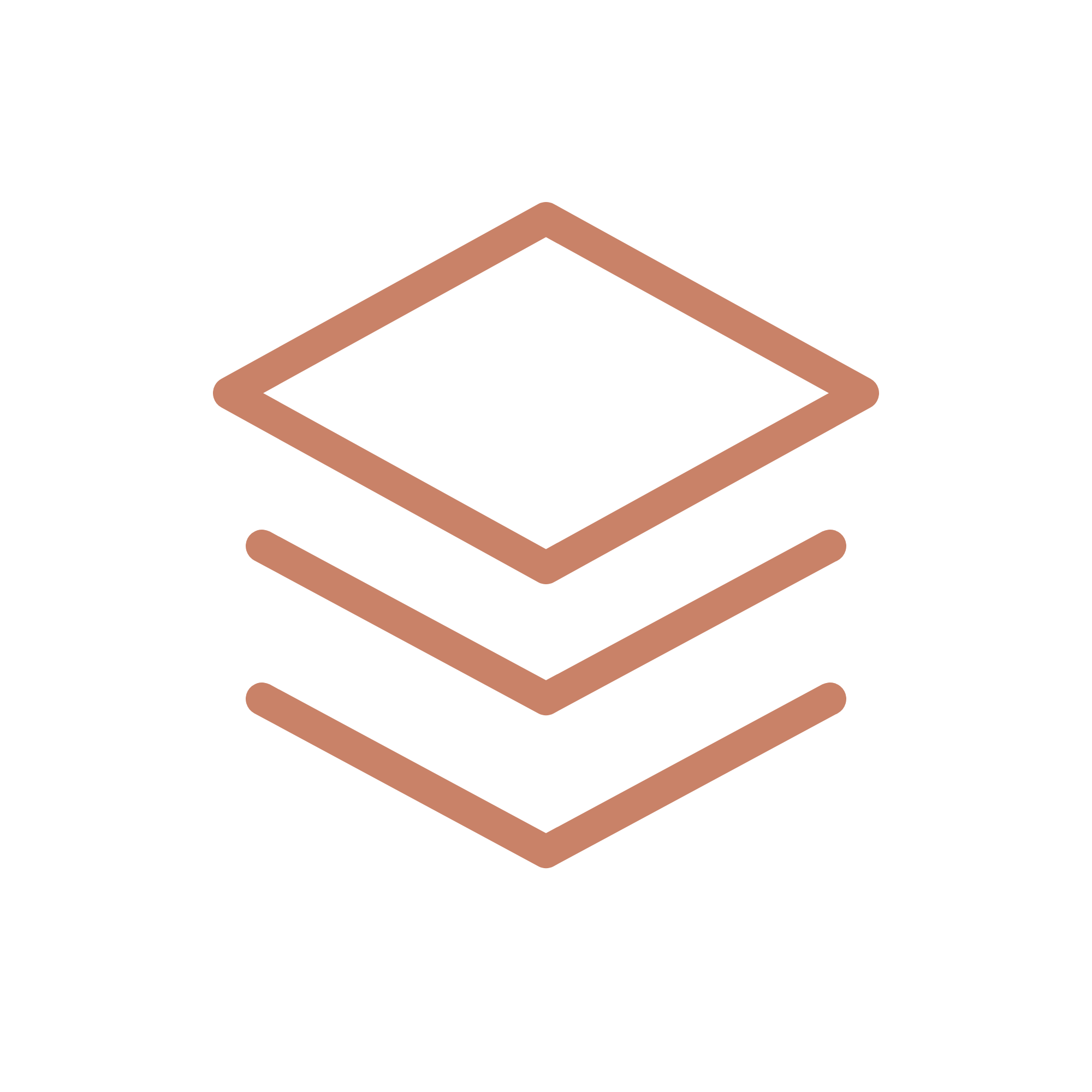 Projects and launches